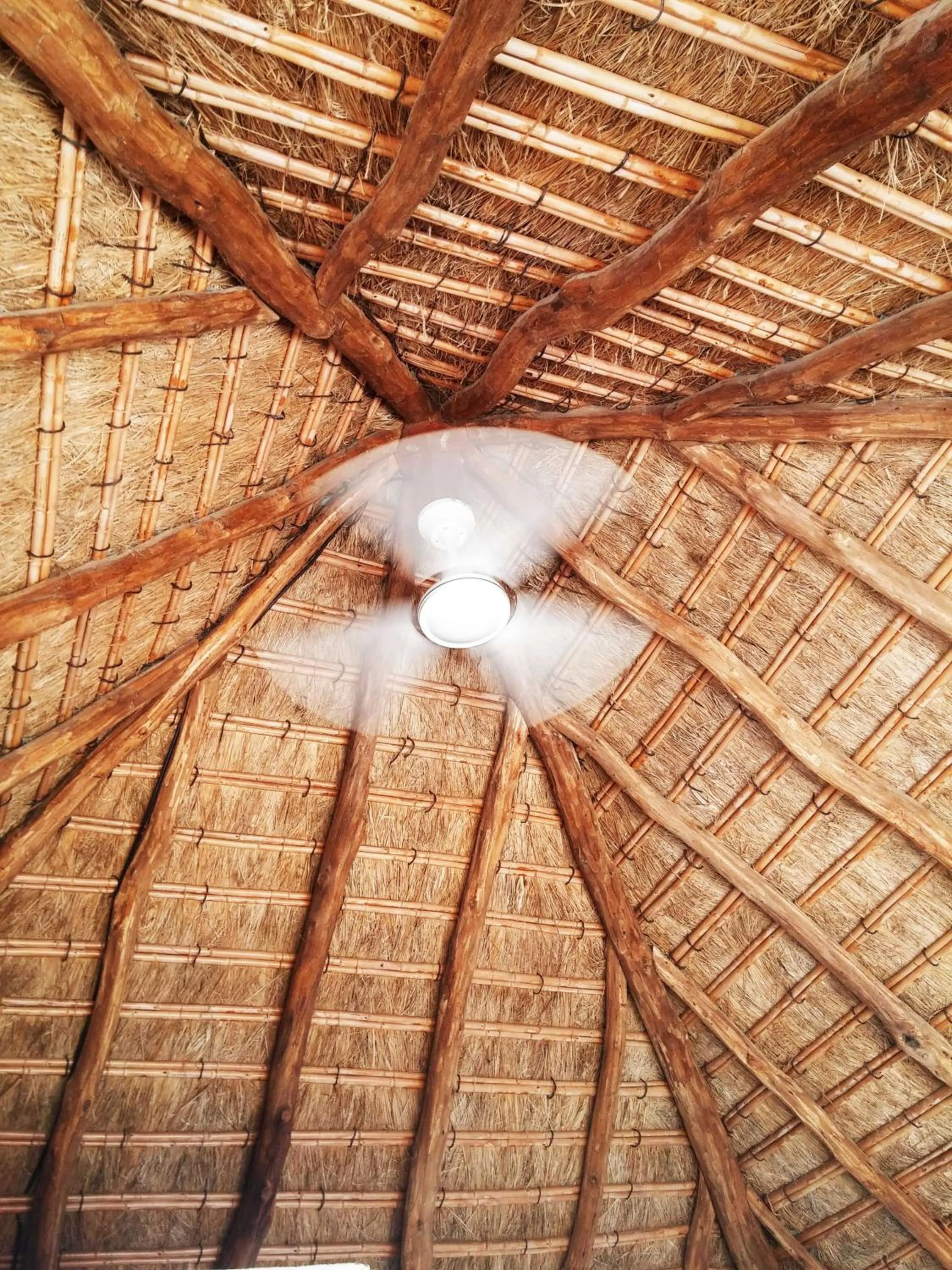 Decorative detail in Bungalows Los Castillejos