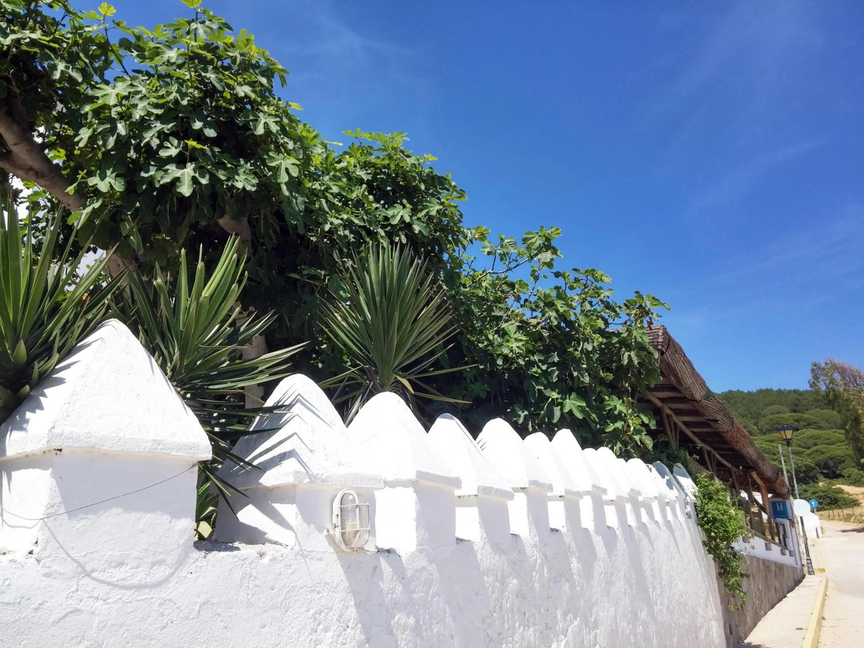 Day in Bungalows Los Castillejos