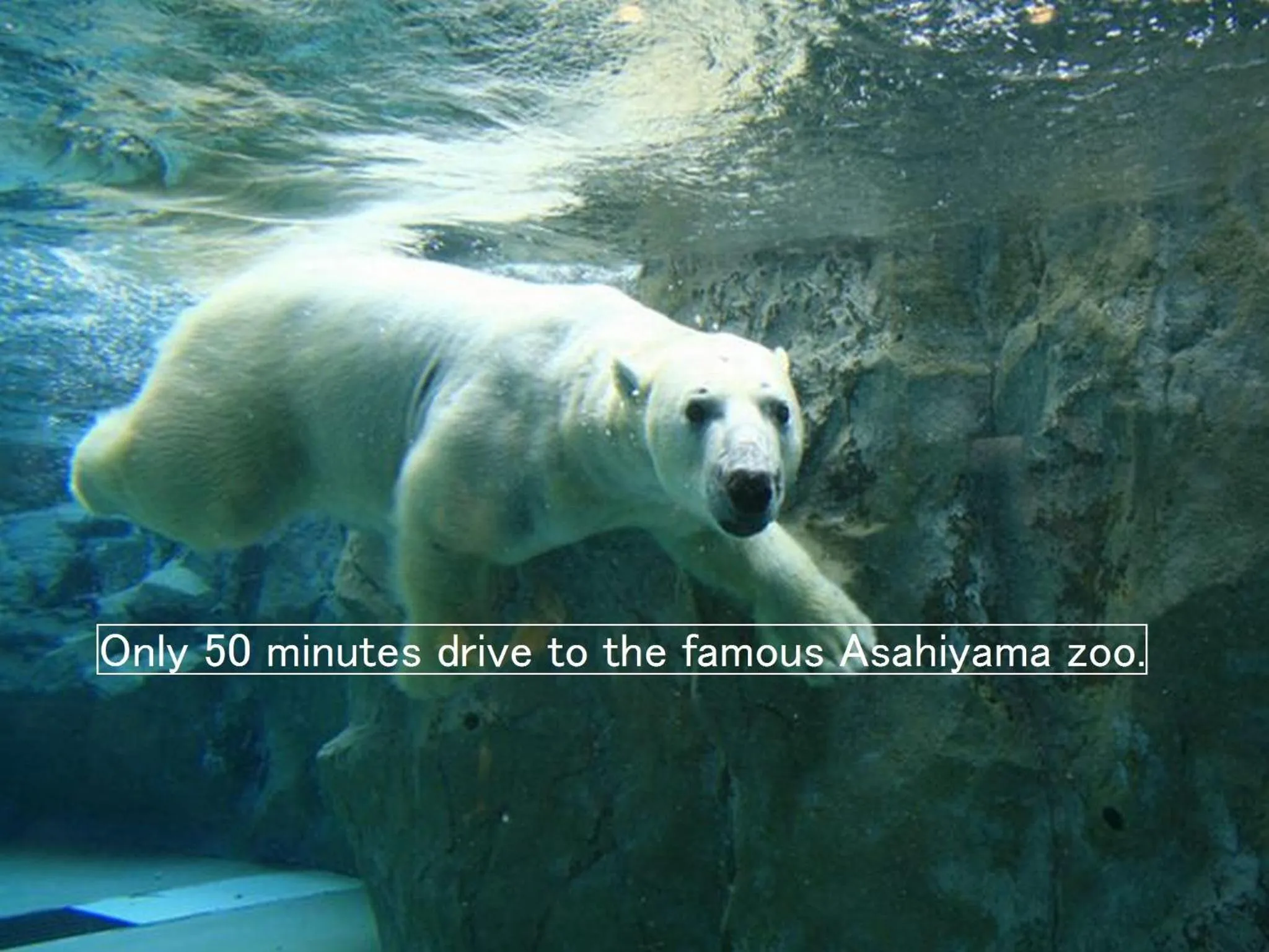 Other in Asahidake Yumoto Yukomanso