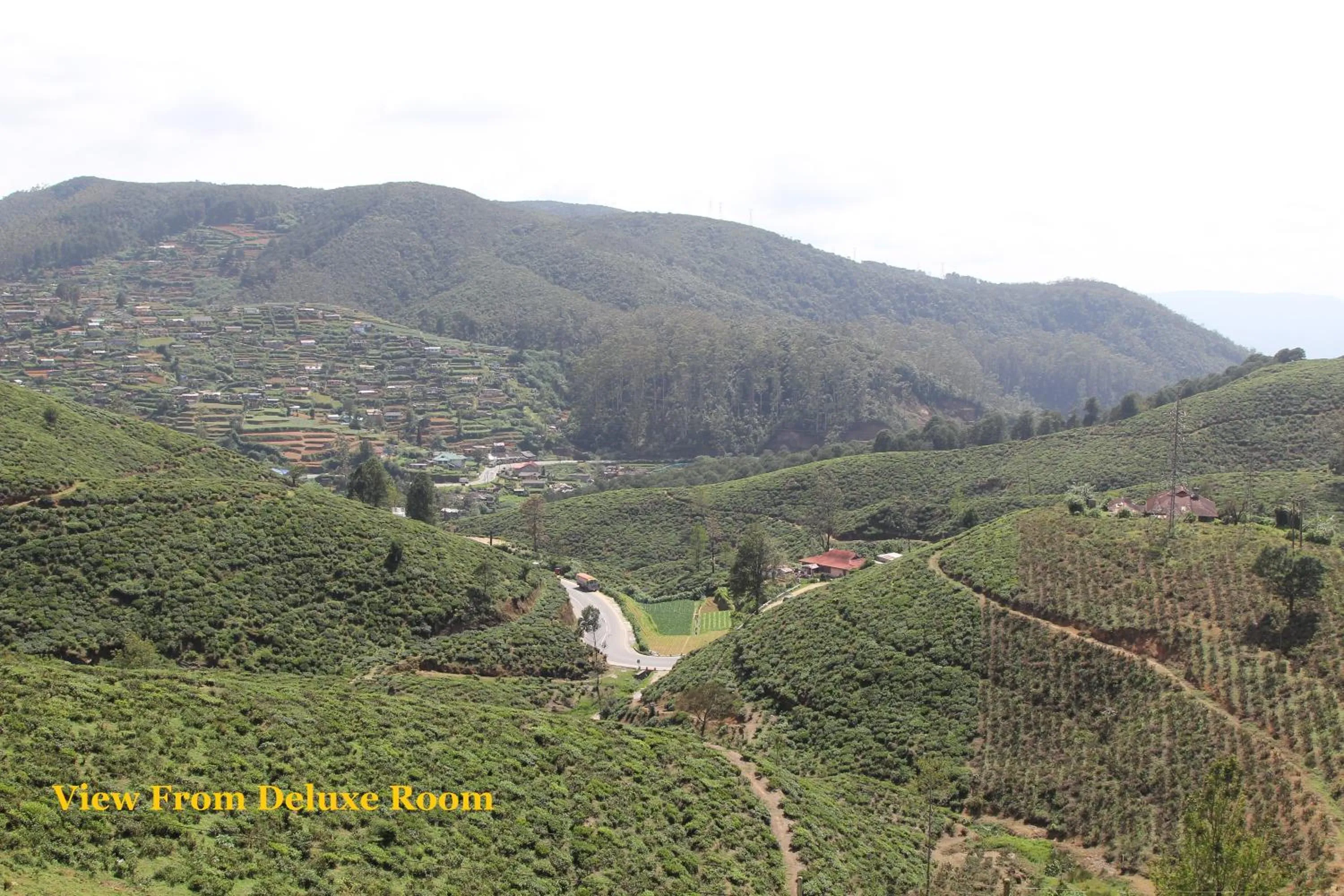 Natural landscape in House of Leisure