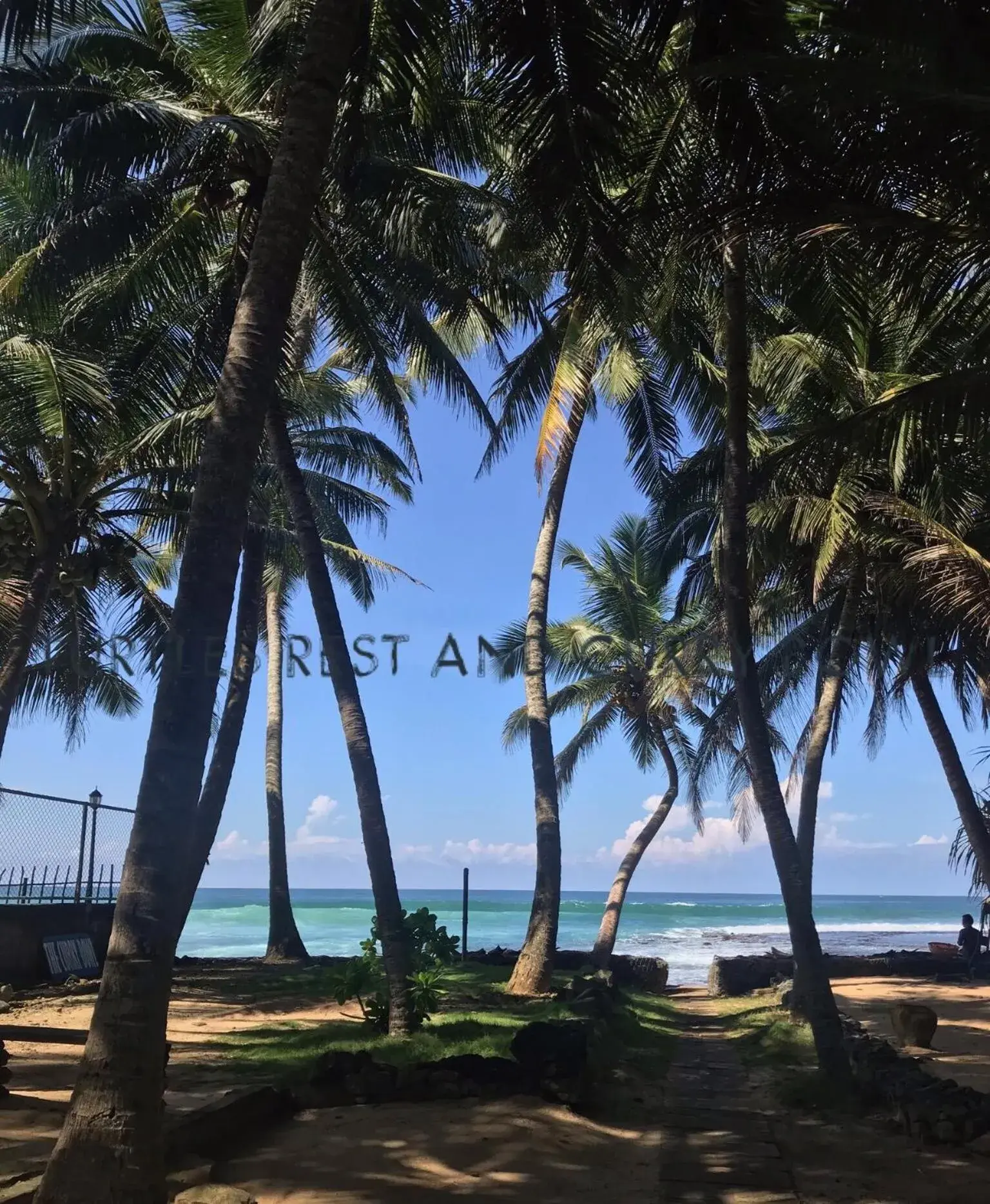 Garden in Curry Bowl Restaurant & Turtles Rest Garden in Curry Bowl Restaurant & Turtles Rest