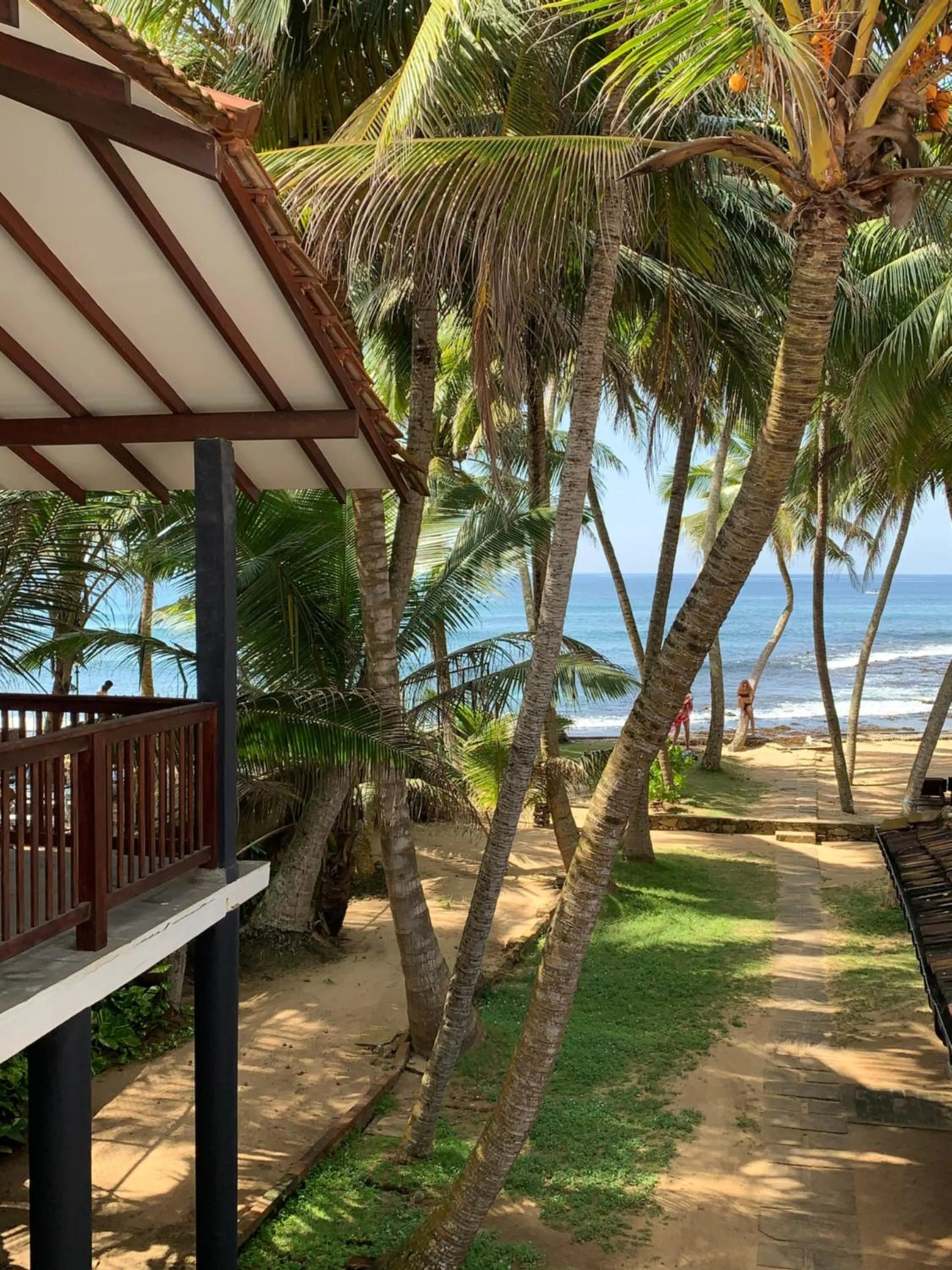 View (from property/room) in Curry Bowl Restaurant & Turtles Rest