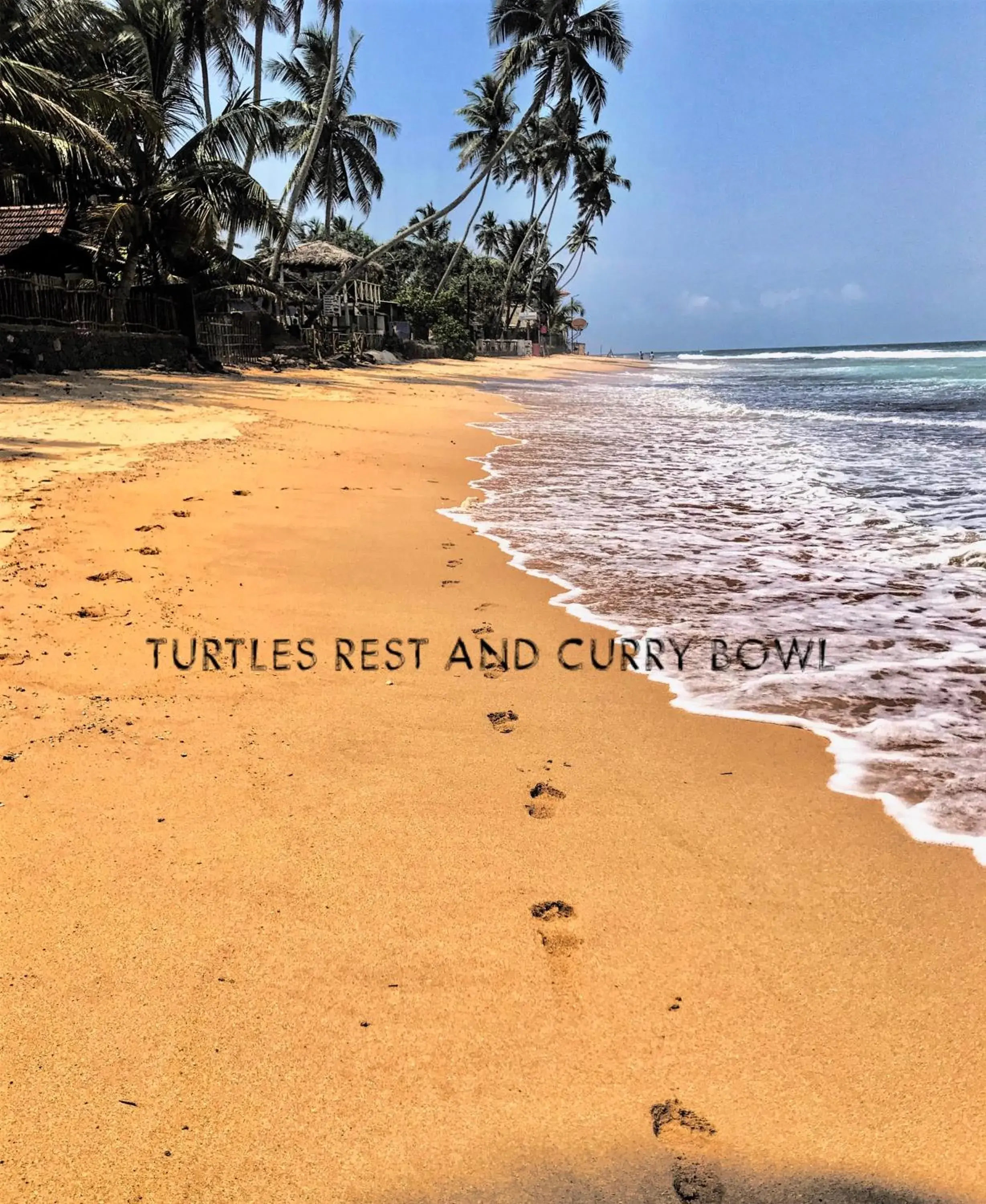 Curry Bowl Restaurant & Turtles Rest Curry Bowl Restaurant & Turtles Rest