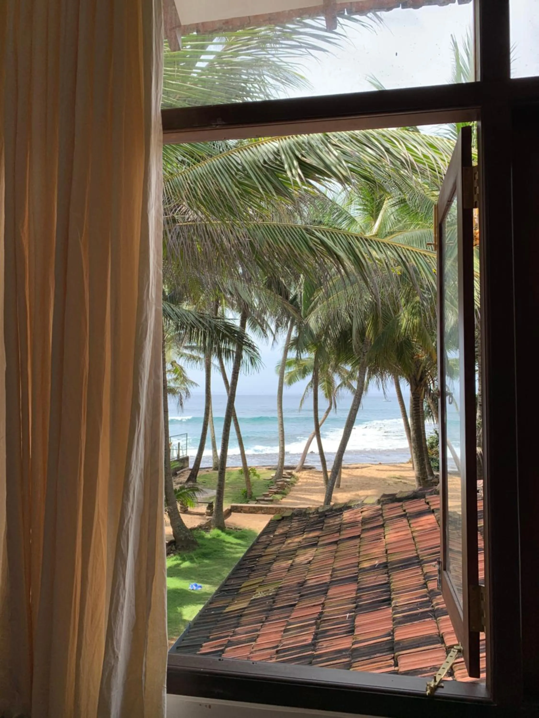 Curry Bowl Restaurant & Turtles Rest