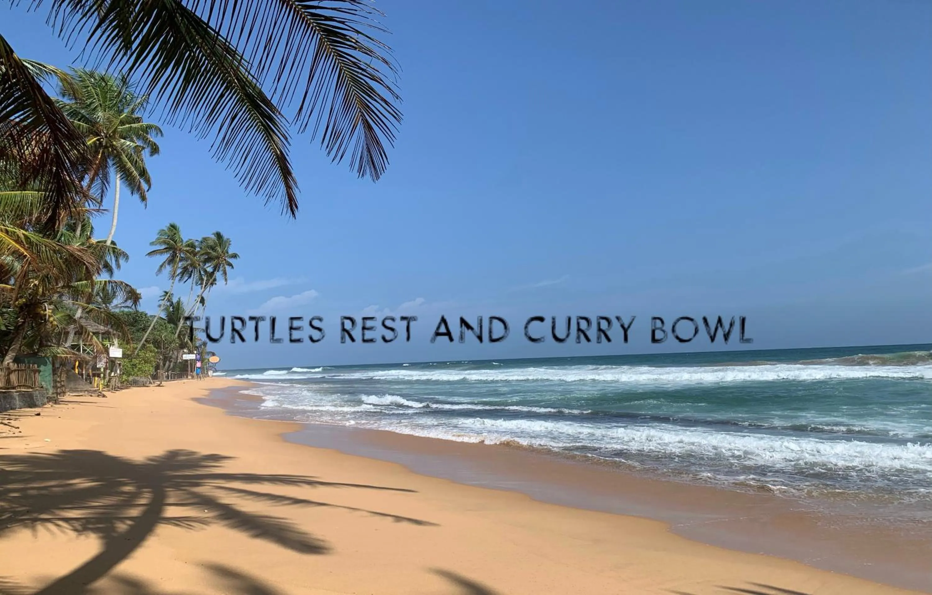 Beach in Curry Bowl Restaurant & Turtles Rest