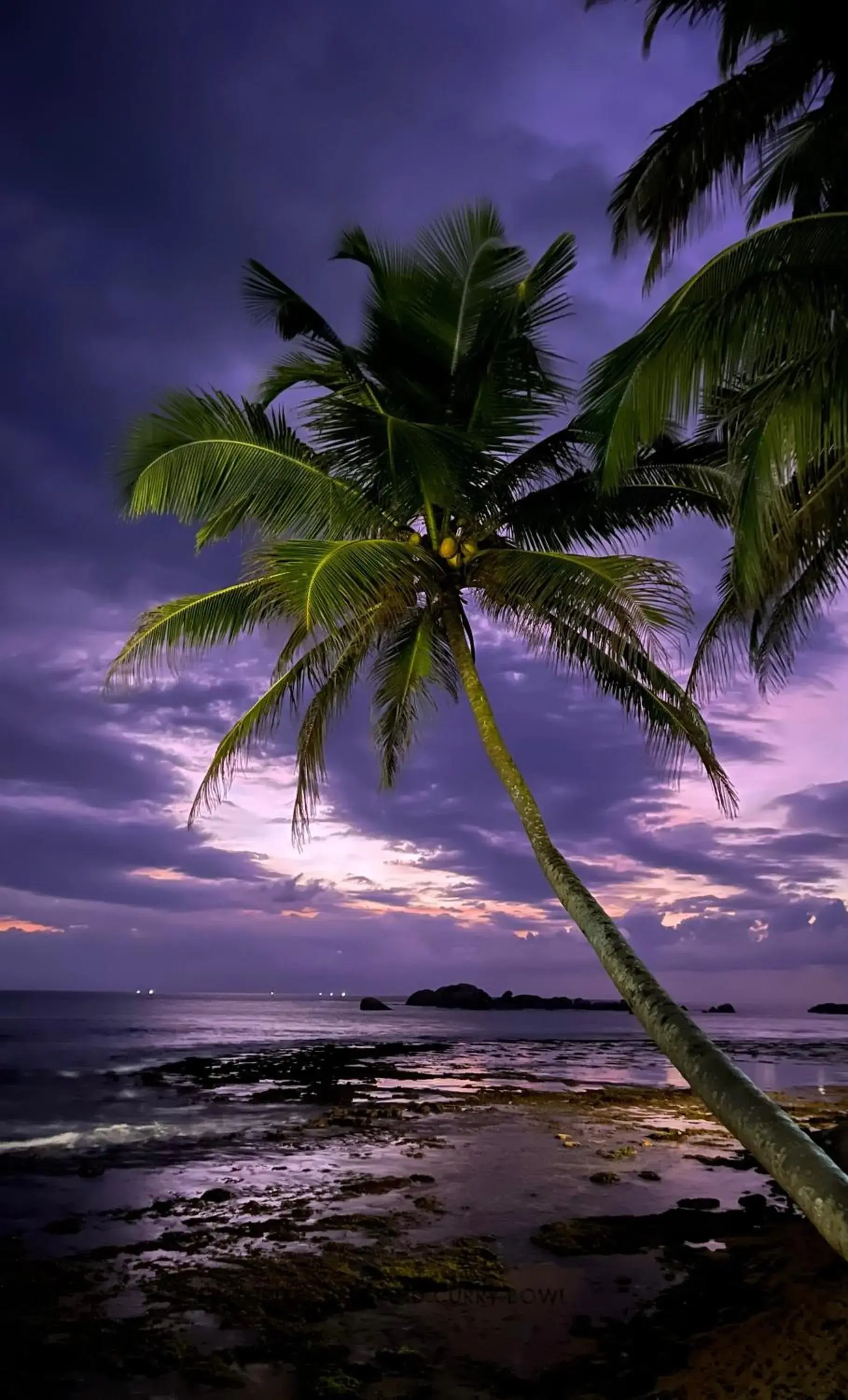 Sunset in Curry Bowl Restaurant & Turtles Rest Sunset in Curry Bowl Restaurant & Turtles Rest