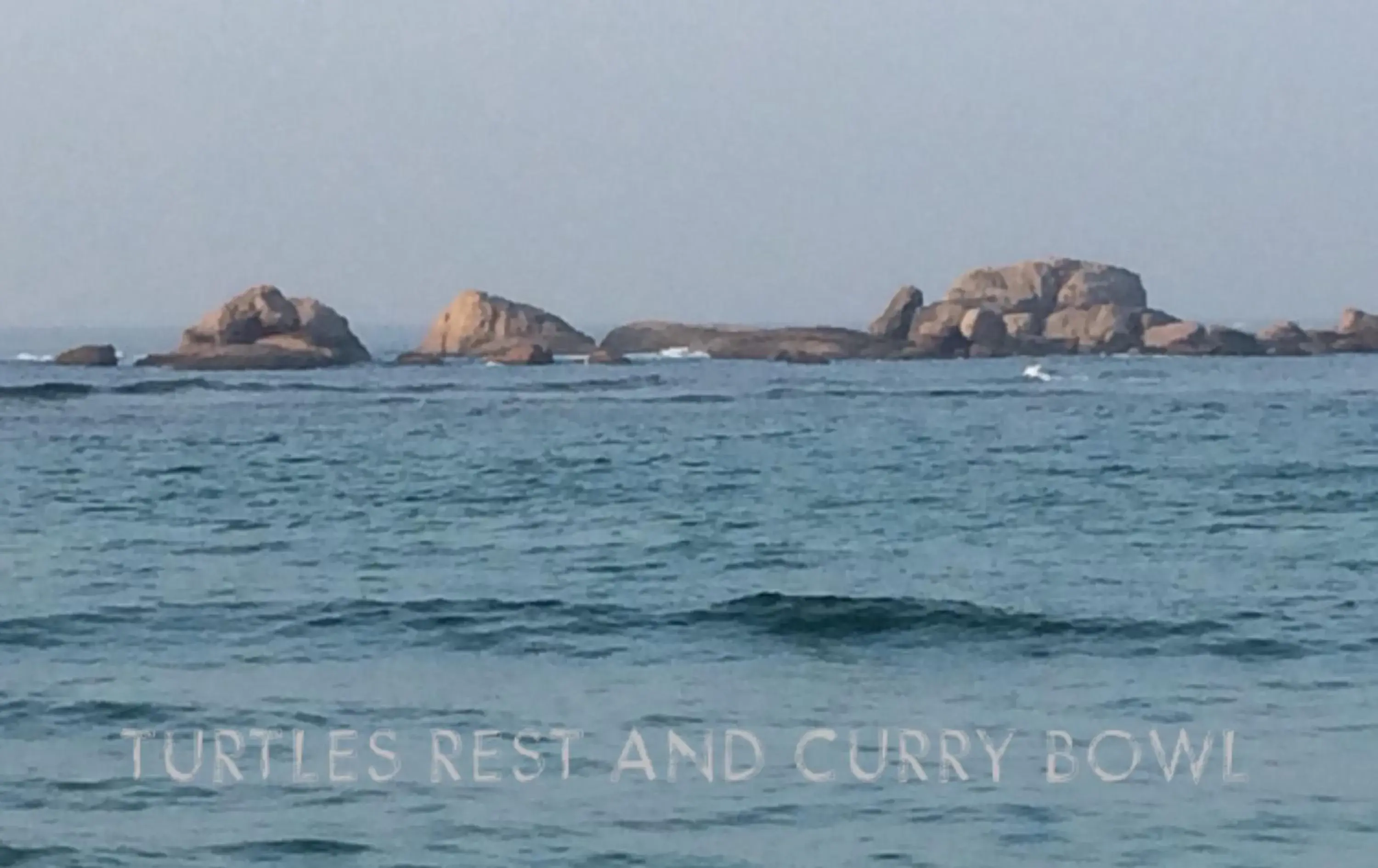 Garden view in Curry Bowl Restaurant & Turtles Rest Garden view in Curry Bowl Restaurant & Turtles Rest