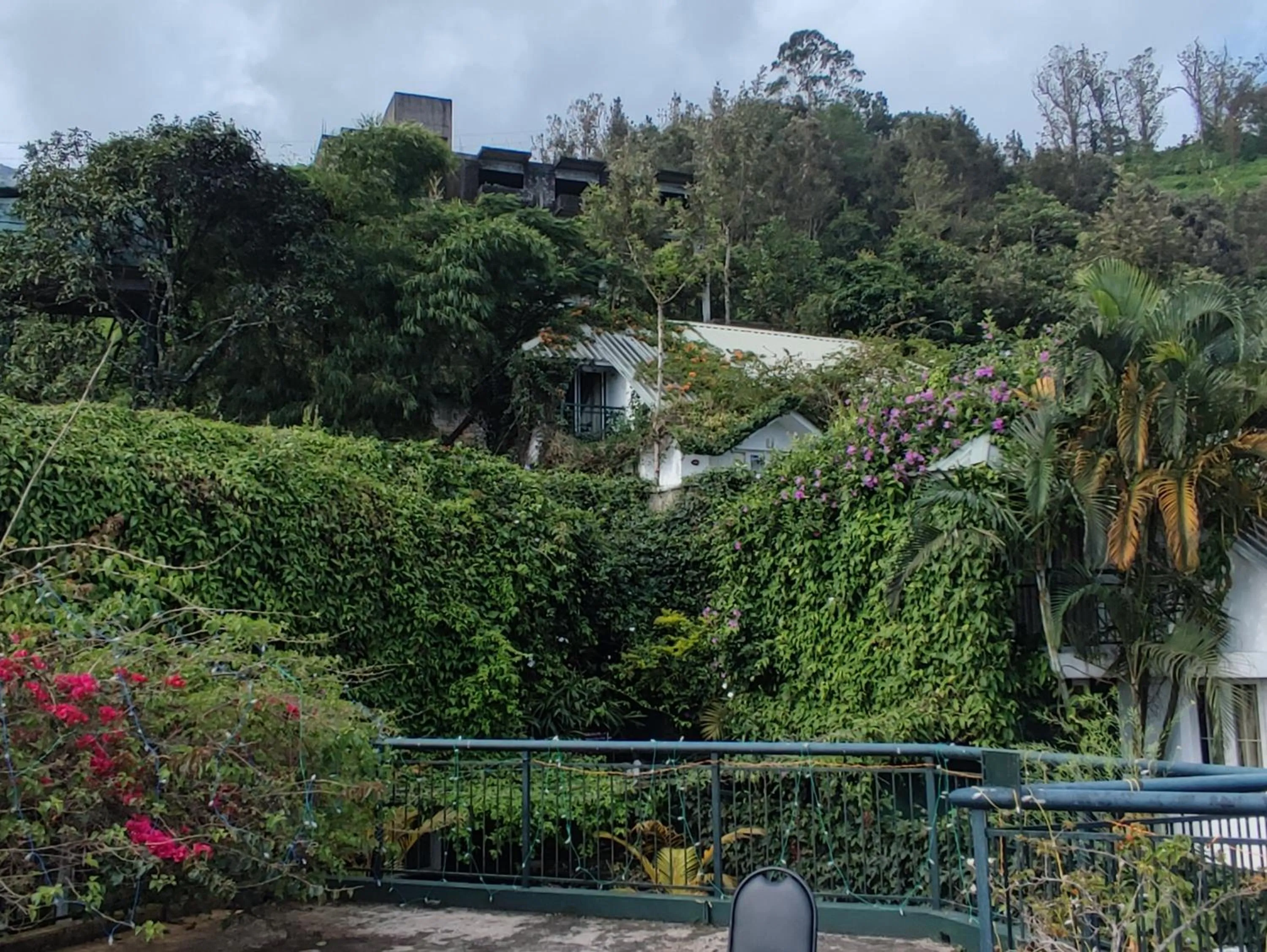 Natural landscape in Munnar Tea Hills Resort - MTHR