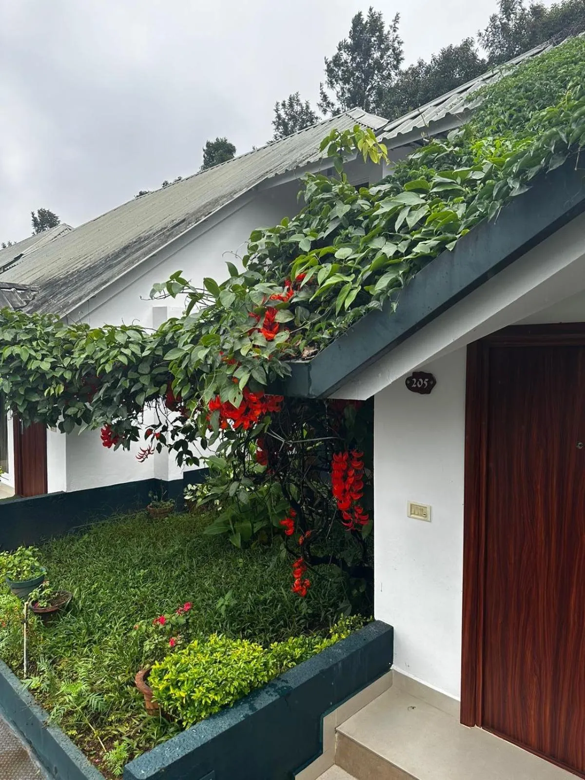 Garden in Munnar Tea Hills Resort - MTHR