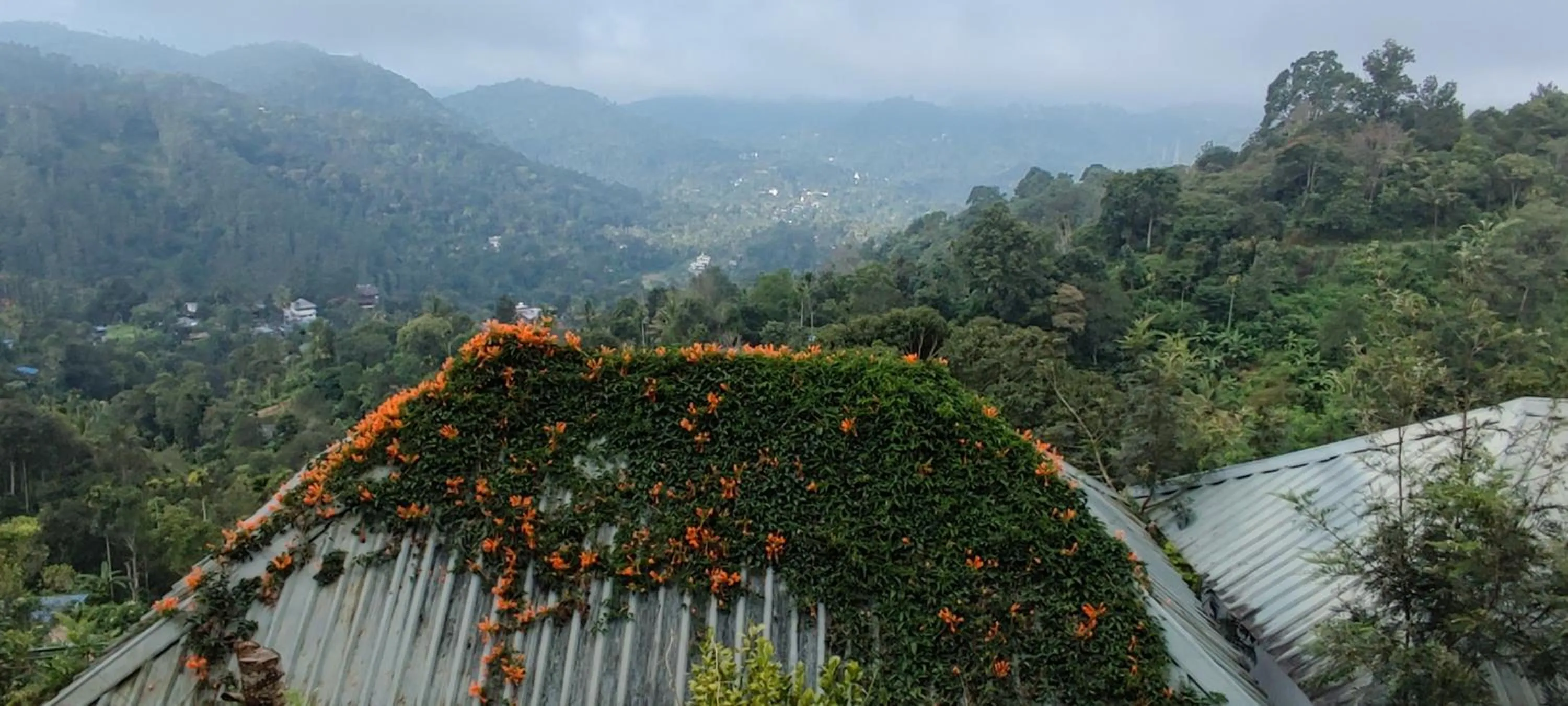 Natural landscape in Munnar Tea Hills Resort - MTHR