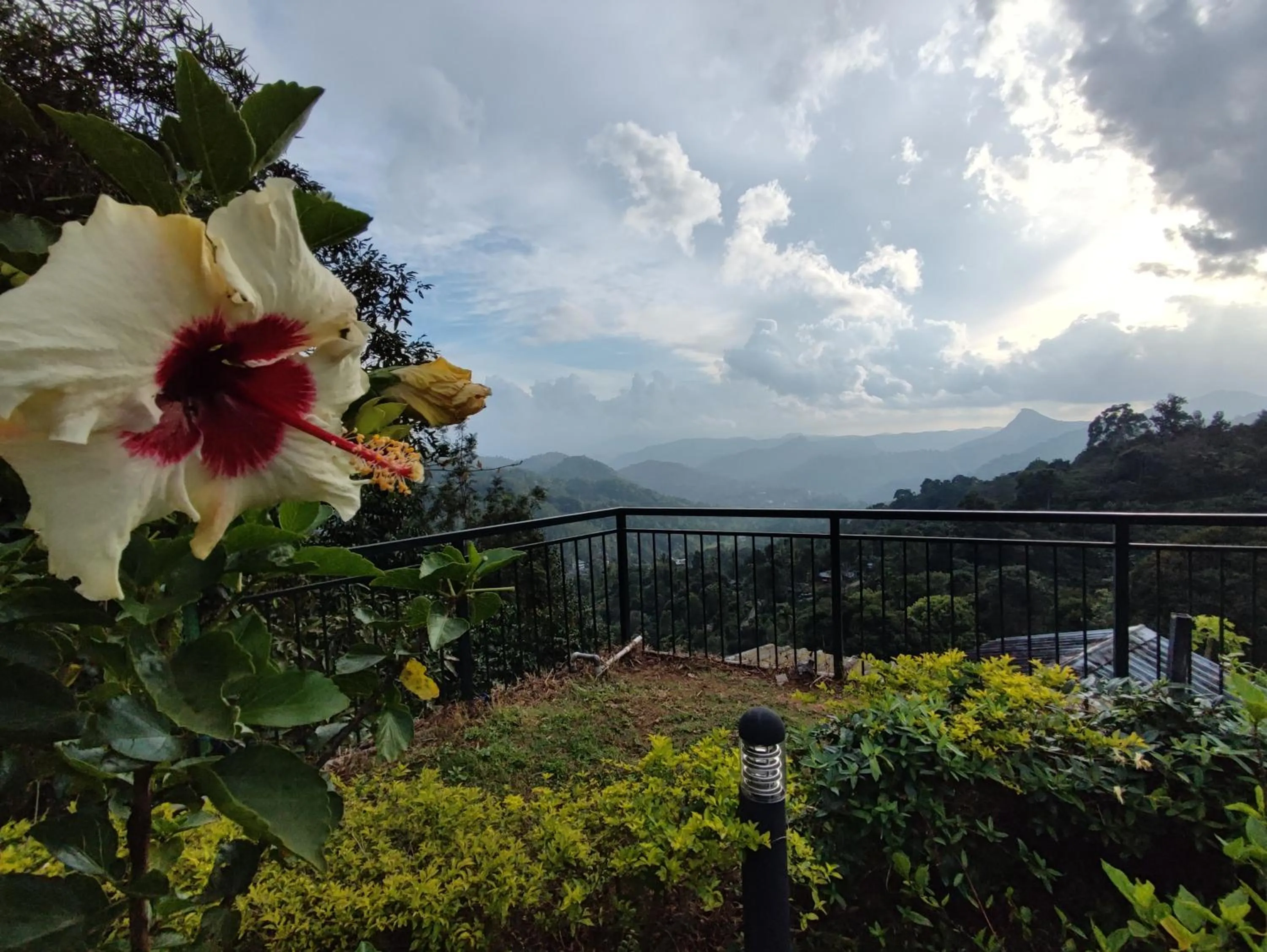 Natural landscape in Munnar Tea Hills Resort - MTHR