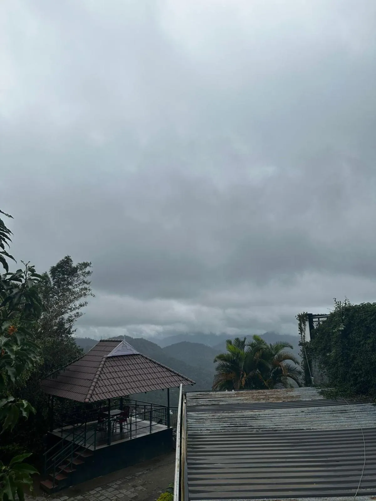 Natural landscape in Munnar Tea Hills Resort - MTHR