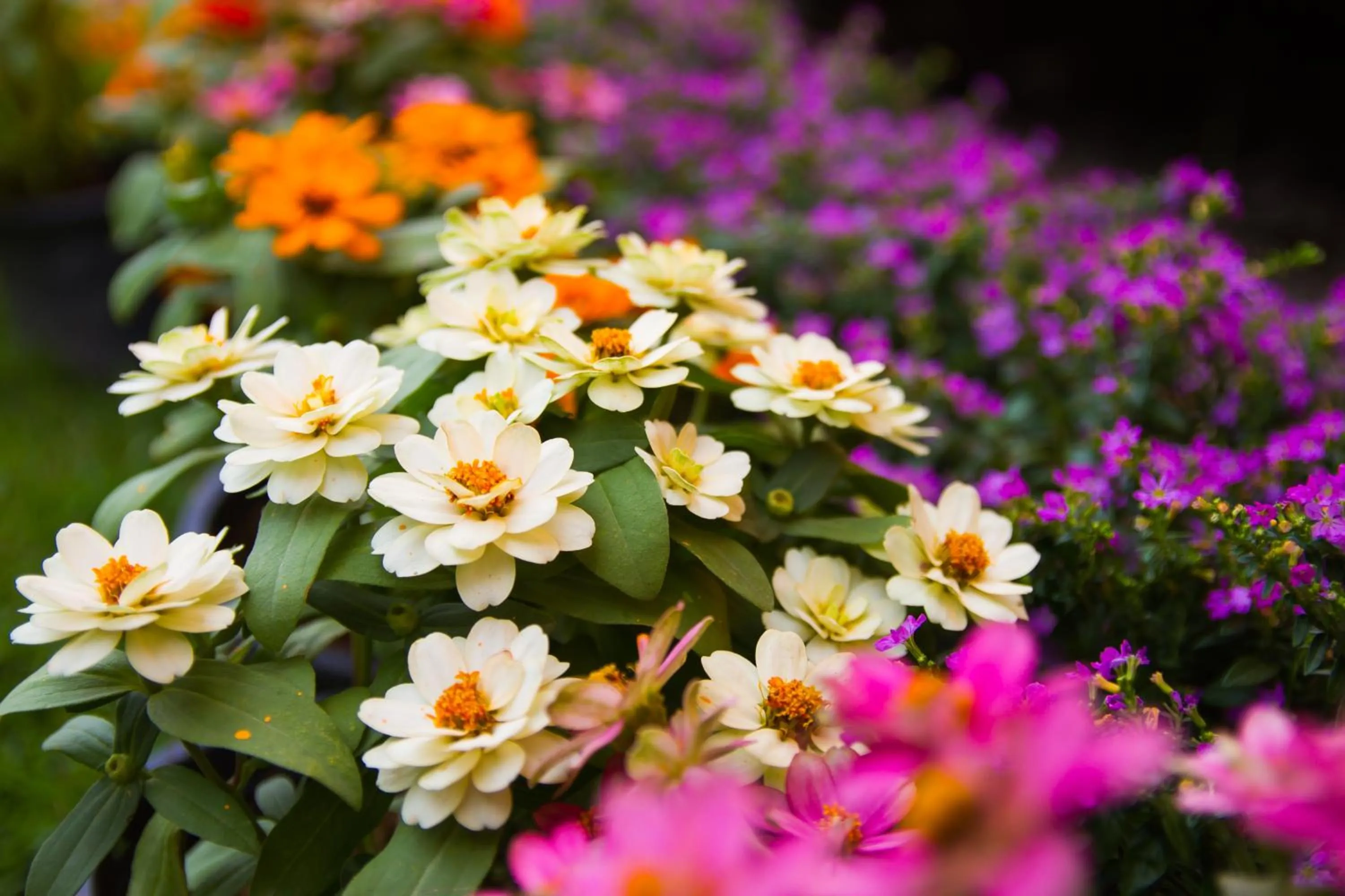 Facade/entrance in i-Style Lanta Boutique House --- SHA Extra Plus