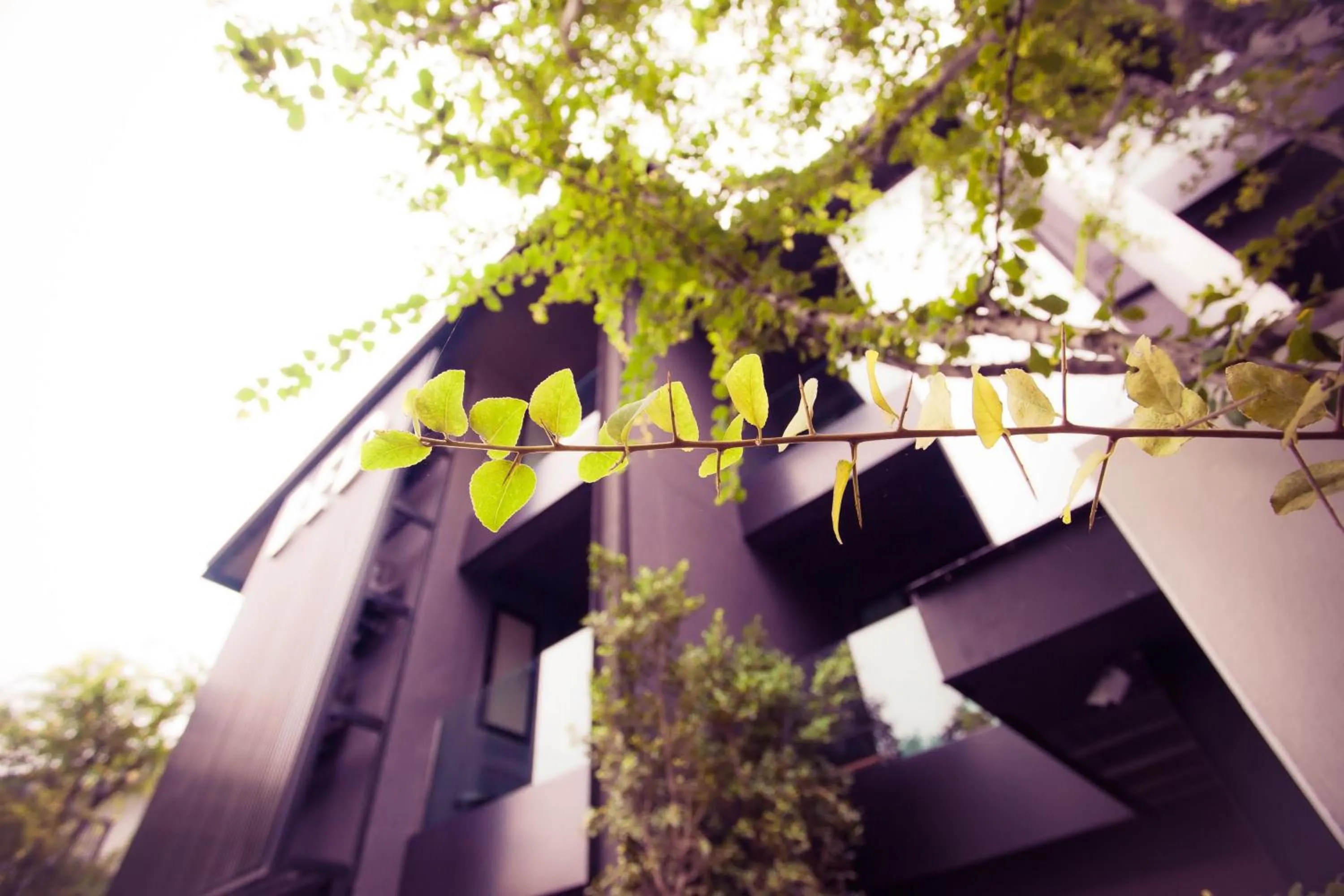 Facade/entrance in BED Phrasingh-Adults Only