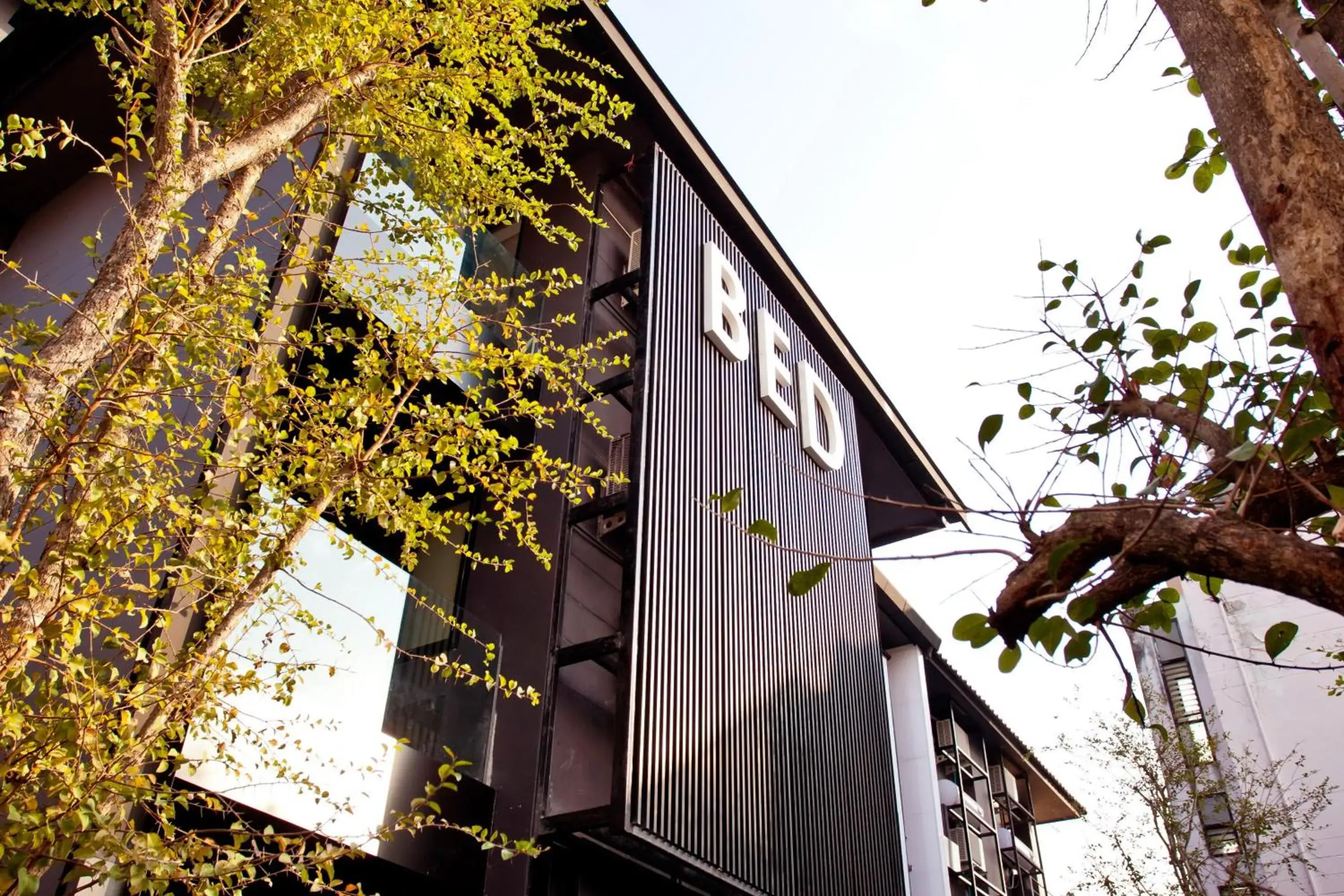 Facade/entrance in BED Phrasingh-Adults Only Facade/entrance in BED Phrasingh-Adults Only