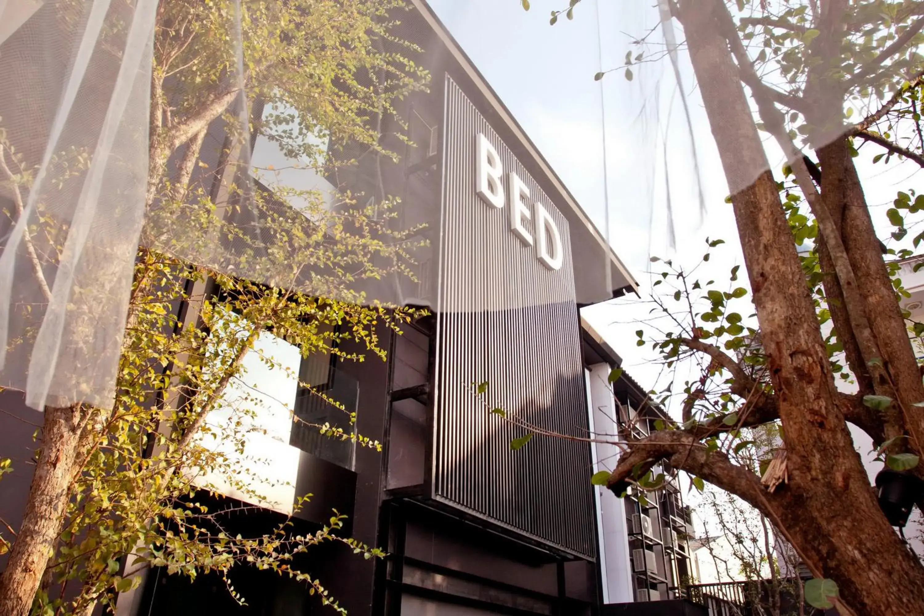 Facade/entrance in BED Phrasingh-Adults Only Facade/entrance in BED Phrasingh-Adults Only