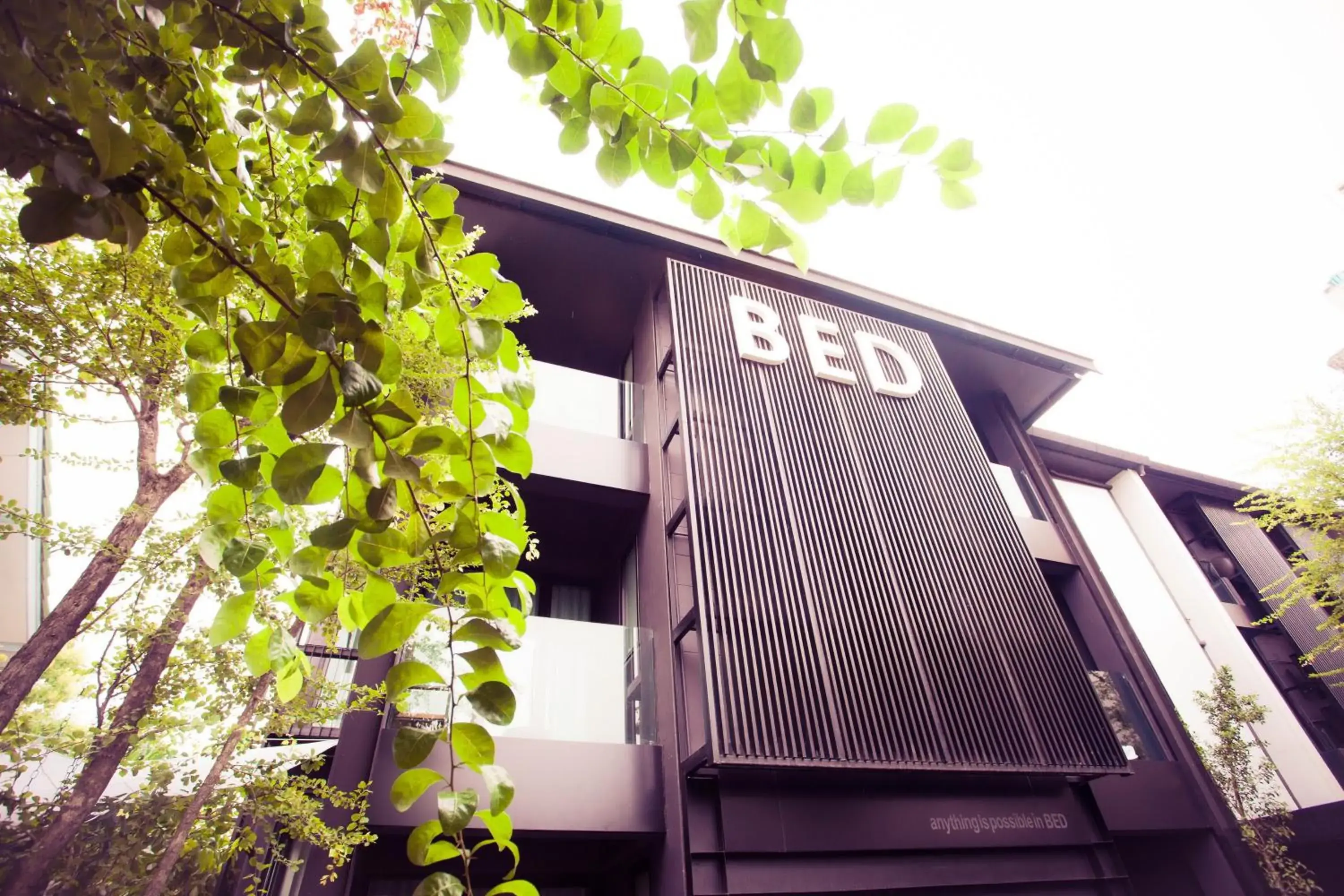 Facade/entrance in BED Phrasingh-Adults Only Facade/entrance in BED Phrasingh-Adults Only