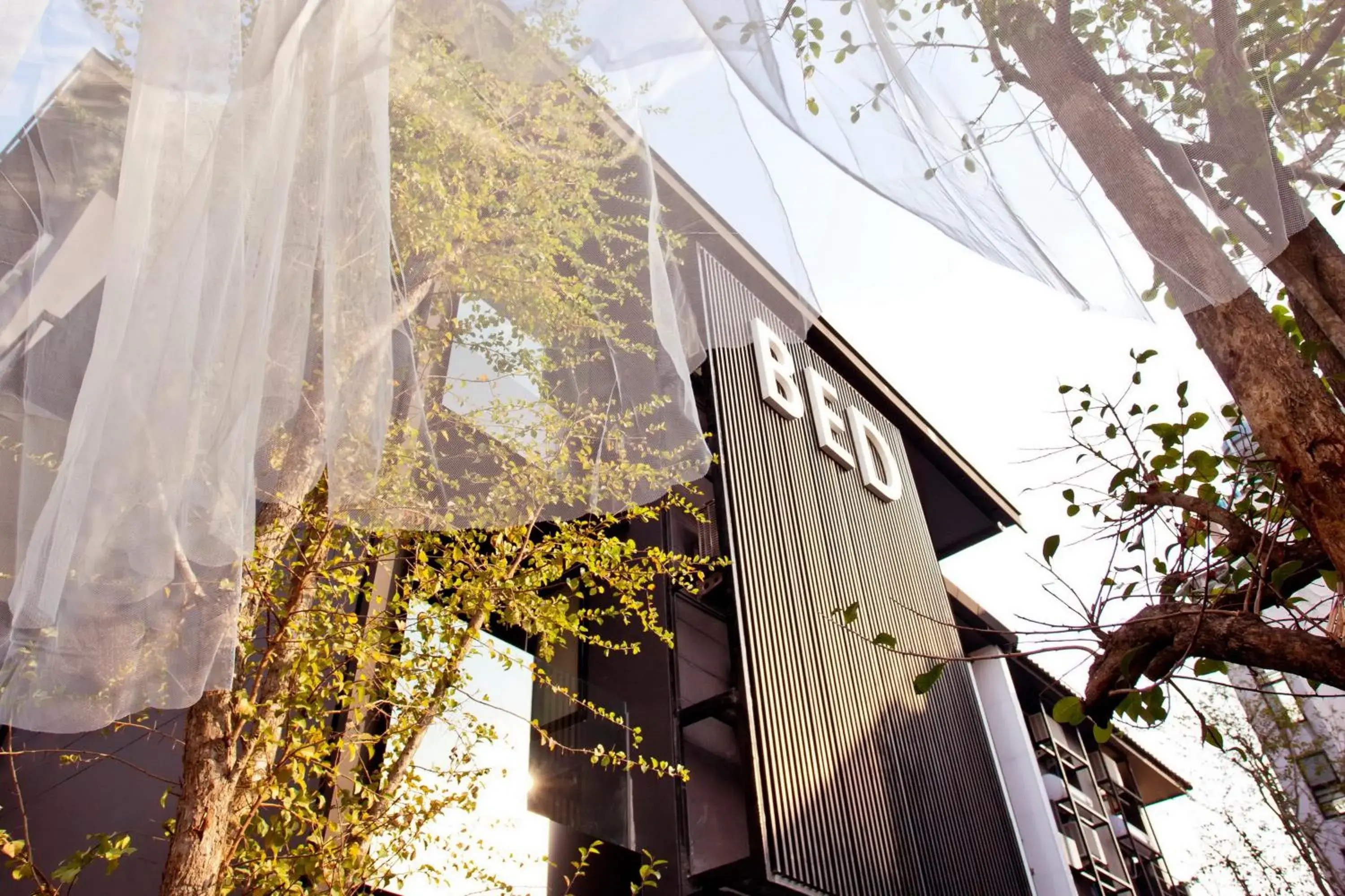 Facade/entrance in BED Phrasingh-Adults Only Facade/entrance in BED Phrasingh-Adults Only