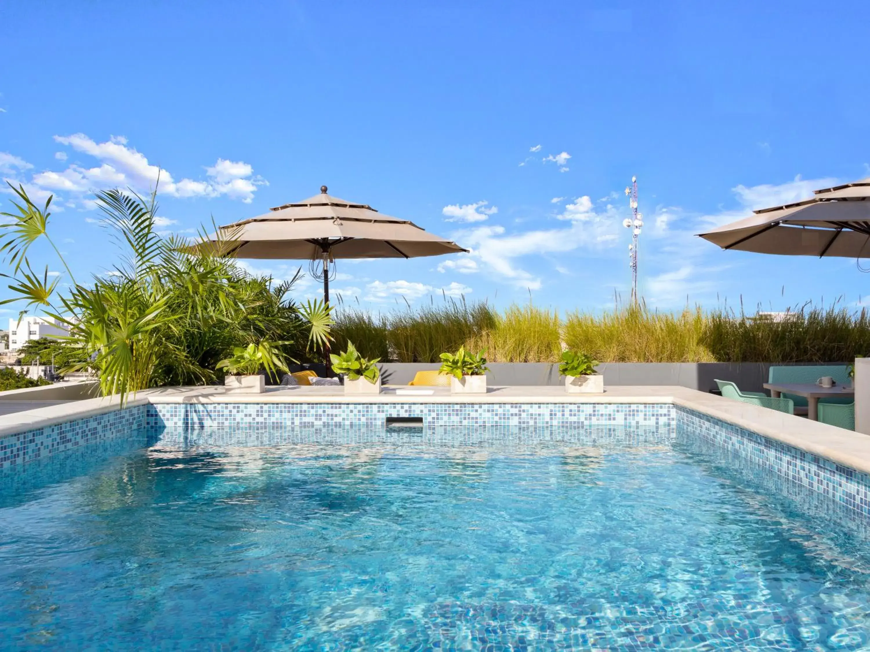 Swimming pool in Ocean Boutique Condos Swimming pool in Ocean Boutique Condos