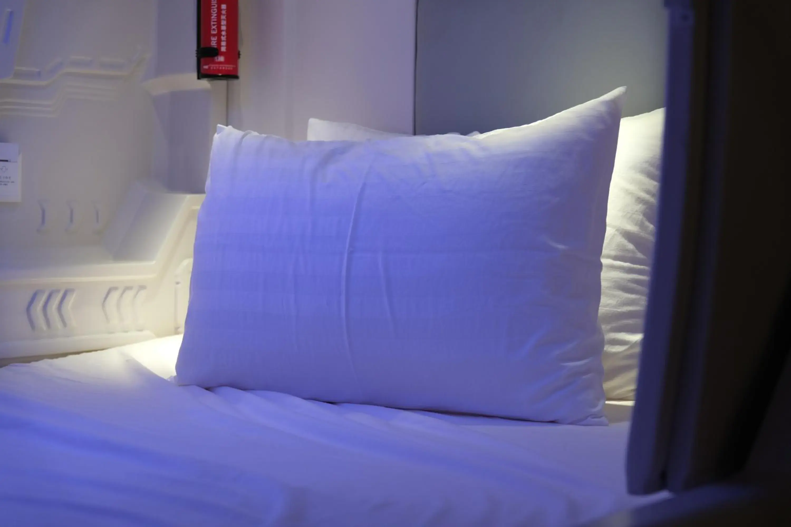 Bunk Bed in Female Dormitory Room in Diane Residences Bunk Bed in Female Dormitory Room in Diane Residences