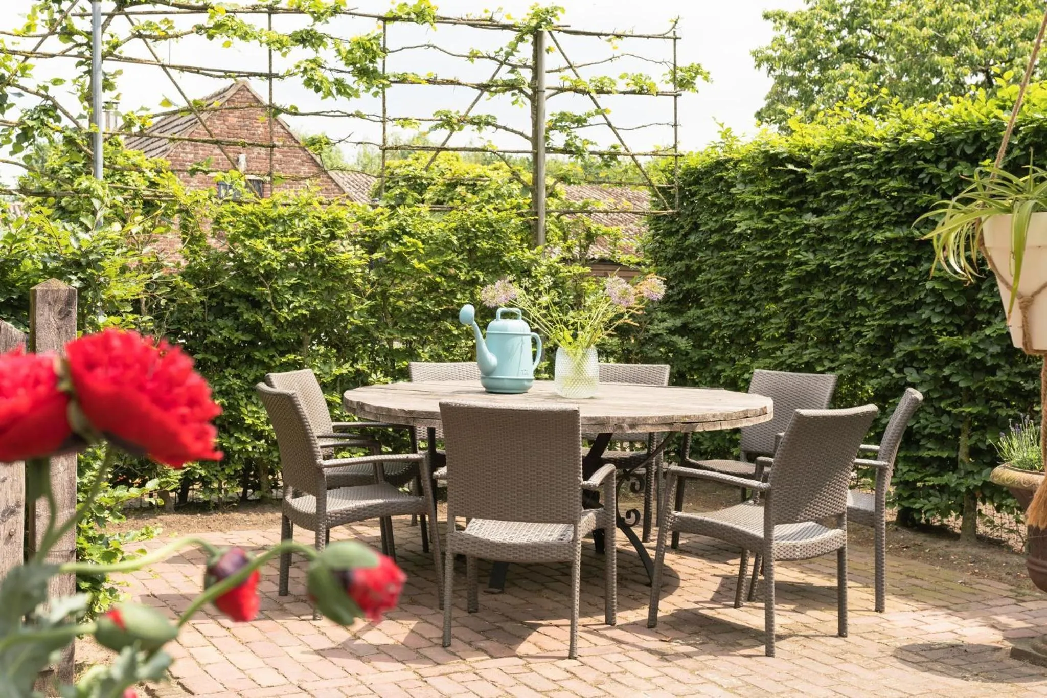 Garden in B&B De Ouw Skuur