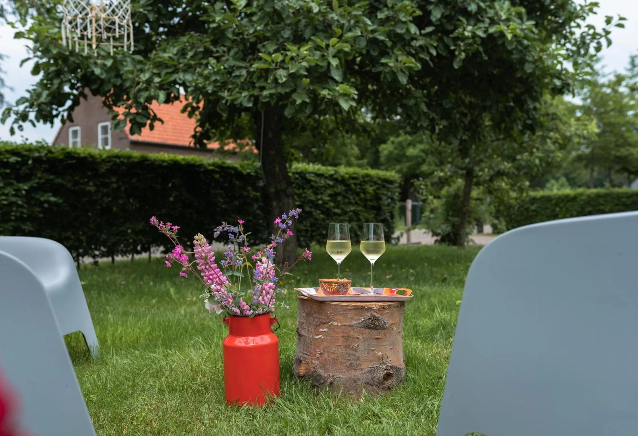 Garden in B&B De Ouw Skuur