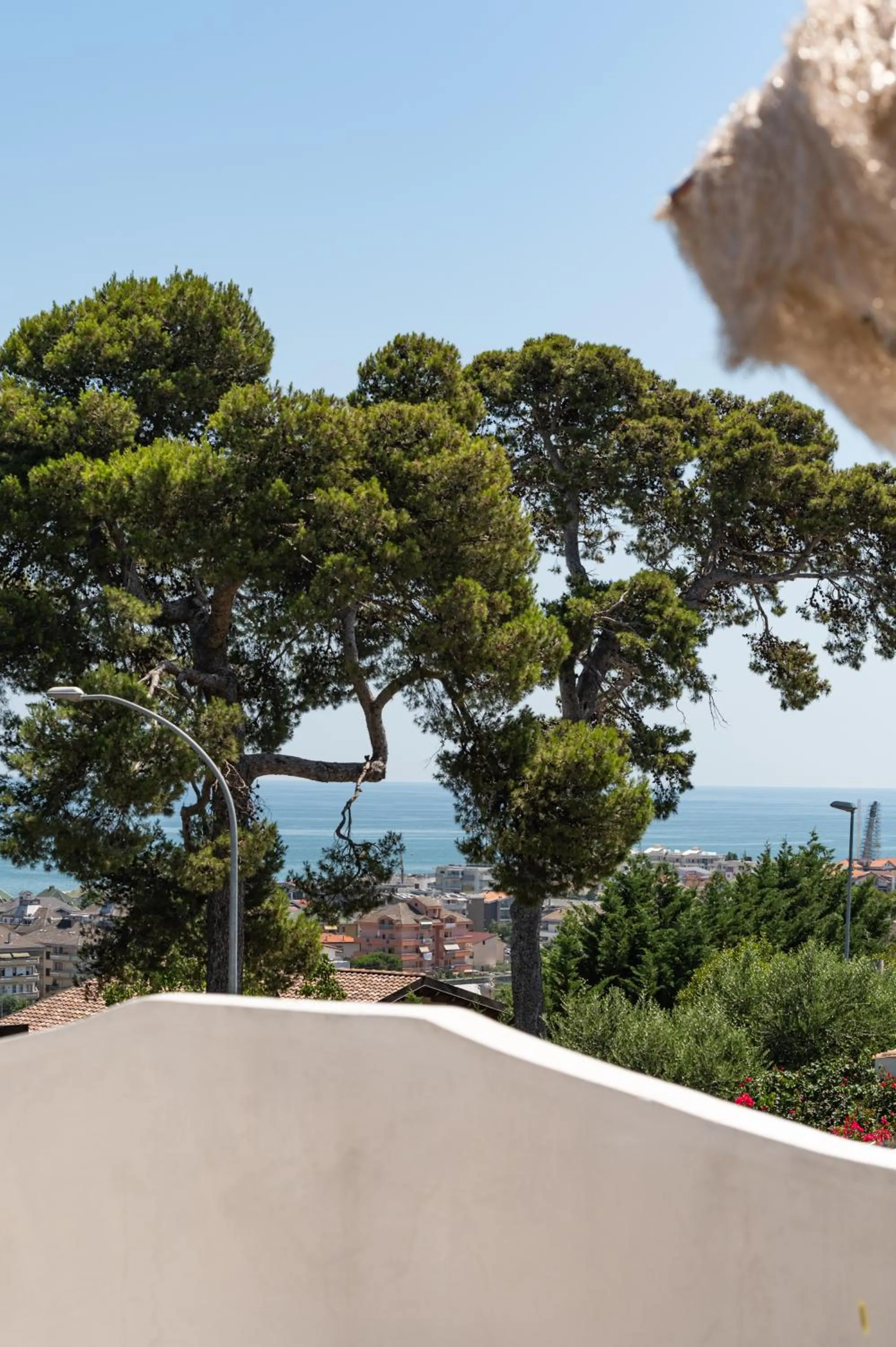Balcony/Terrace in Villa Tropical