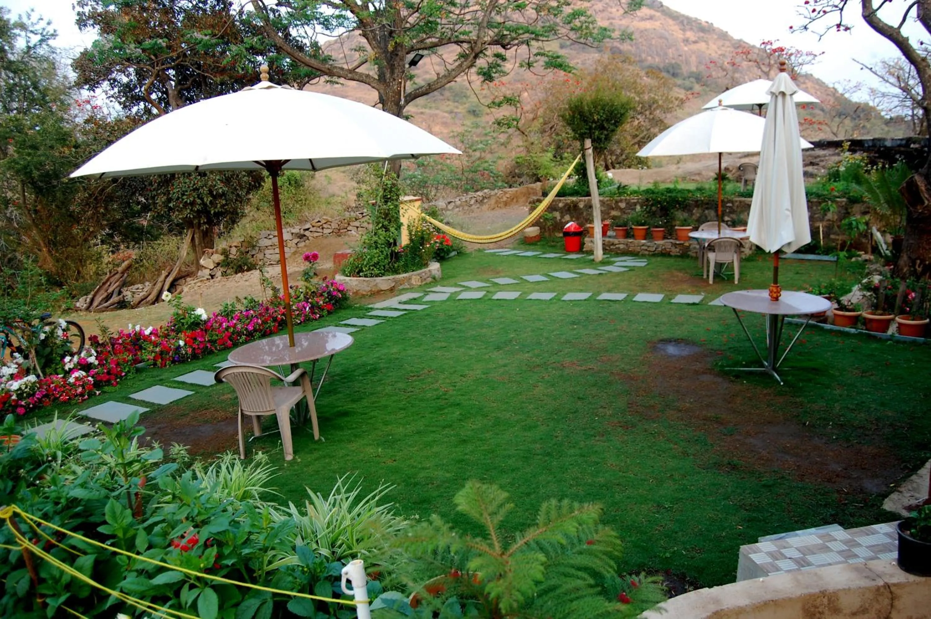 Natural landscape in Forest Eco Lodge