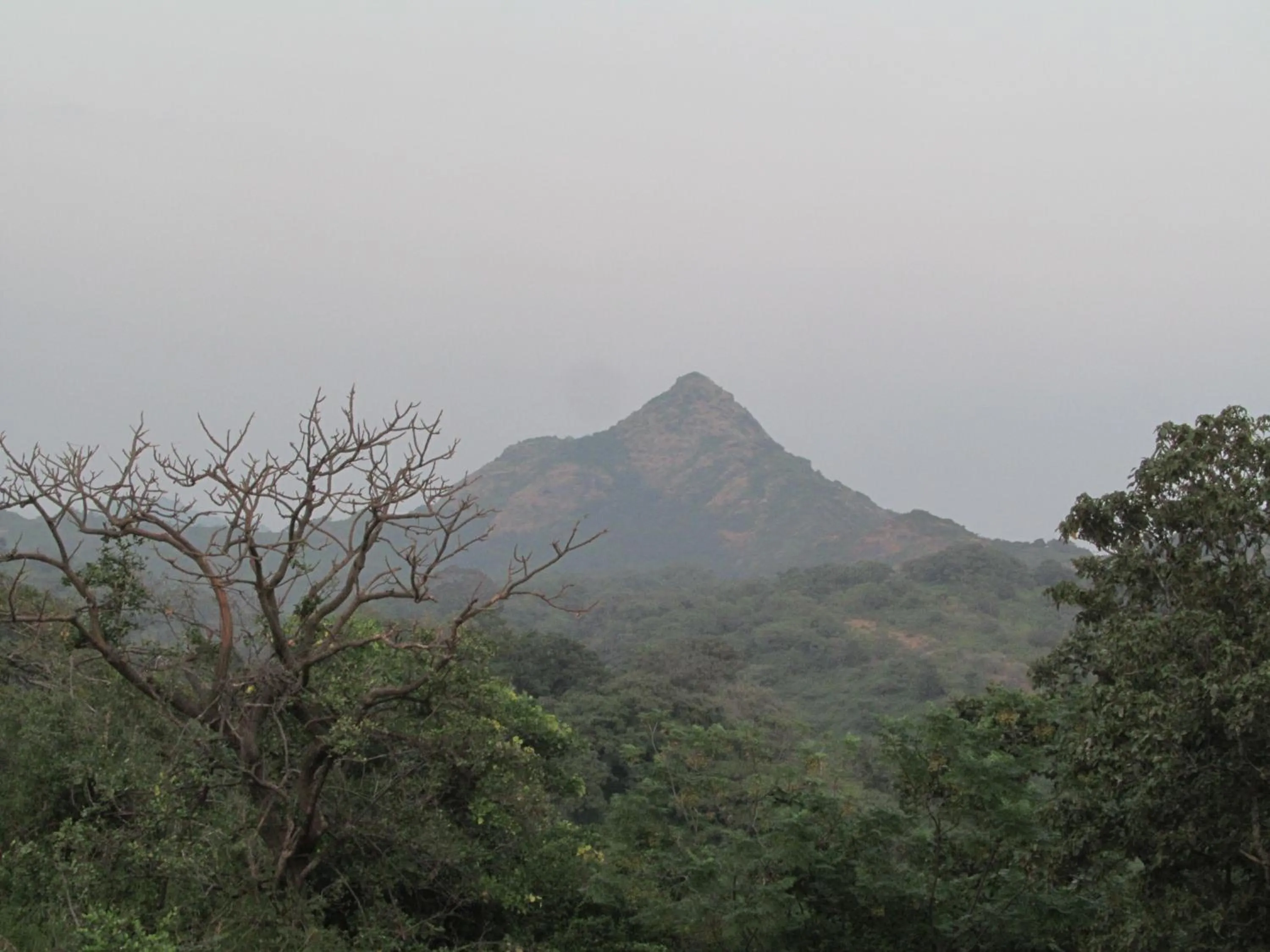 Natural landscape in Forest Eco Lodge