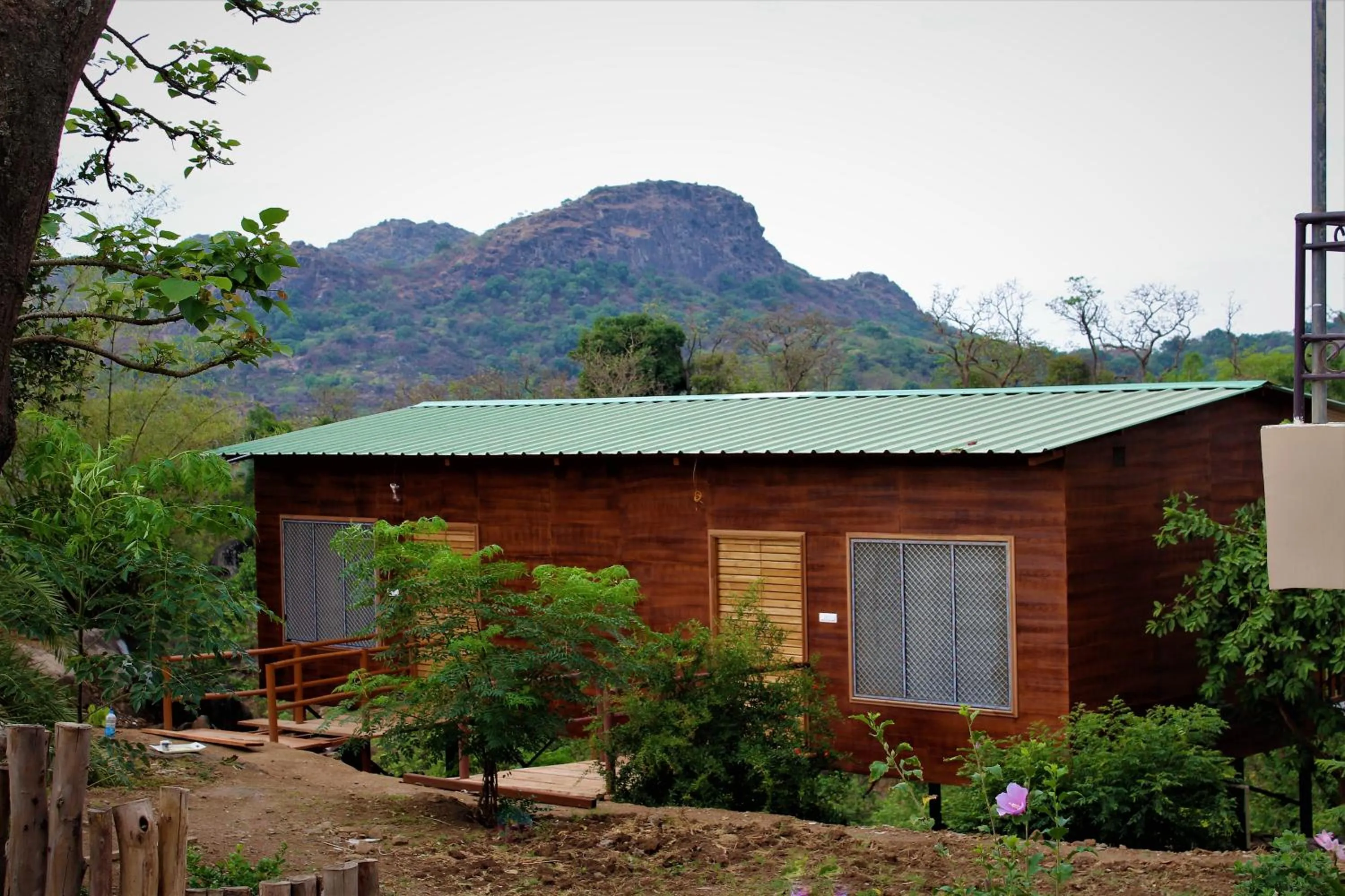 Property building in Forest Eco Lodge