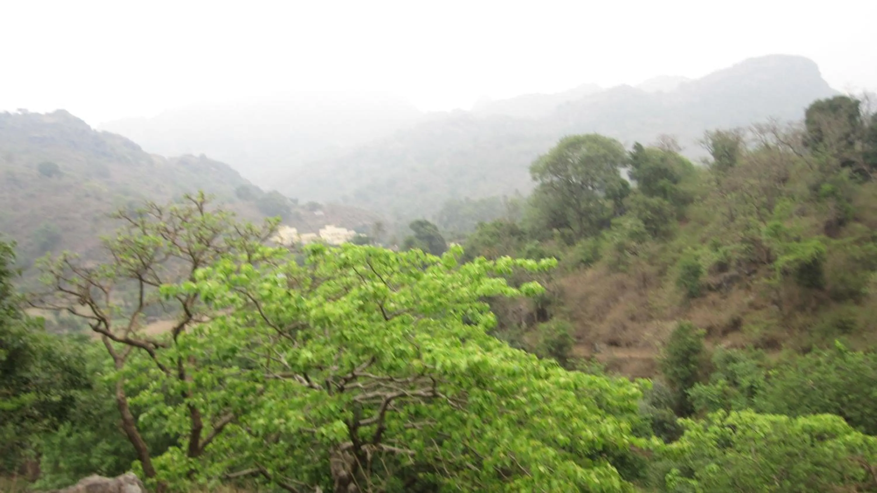 Other in Forest Eco Lodge