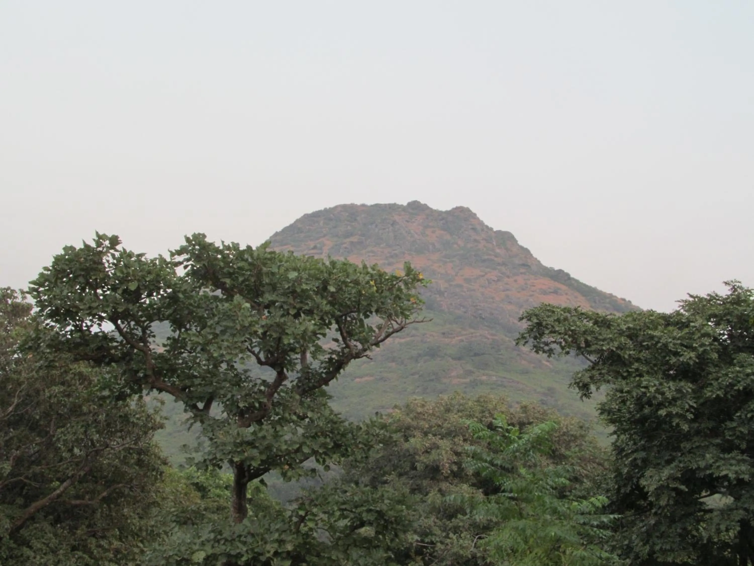 Neighbourhood in Forest Eco Lodge