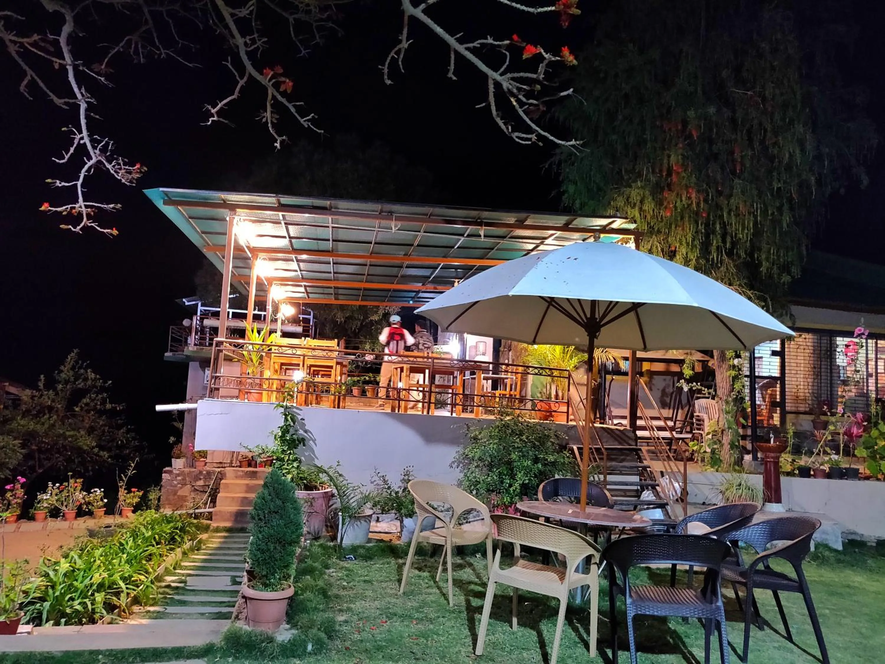 Restaurant/places to eat in Forest Eco Lodge