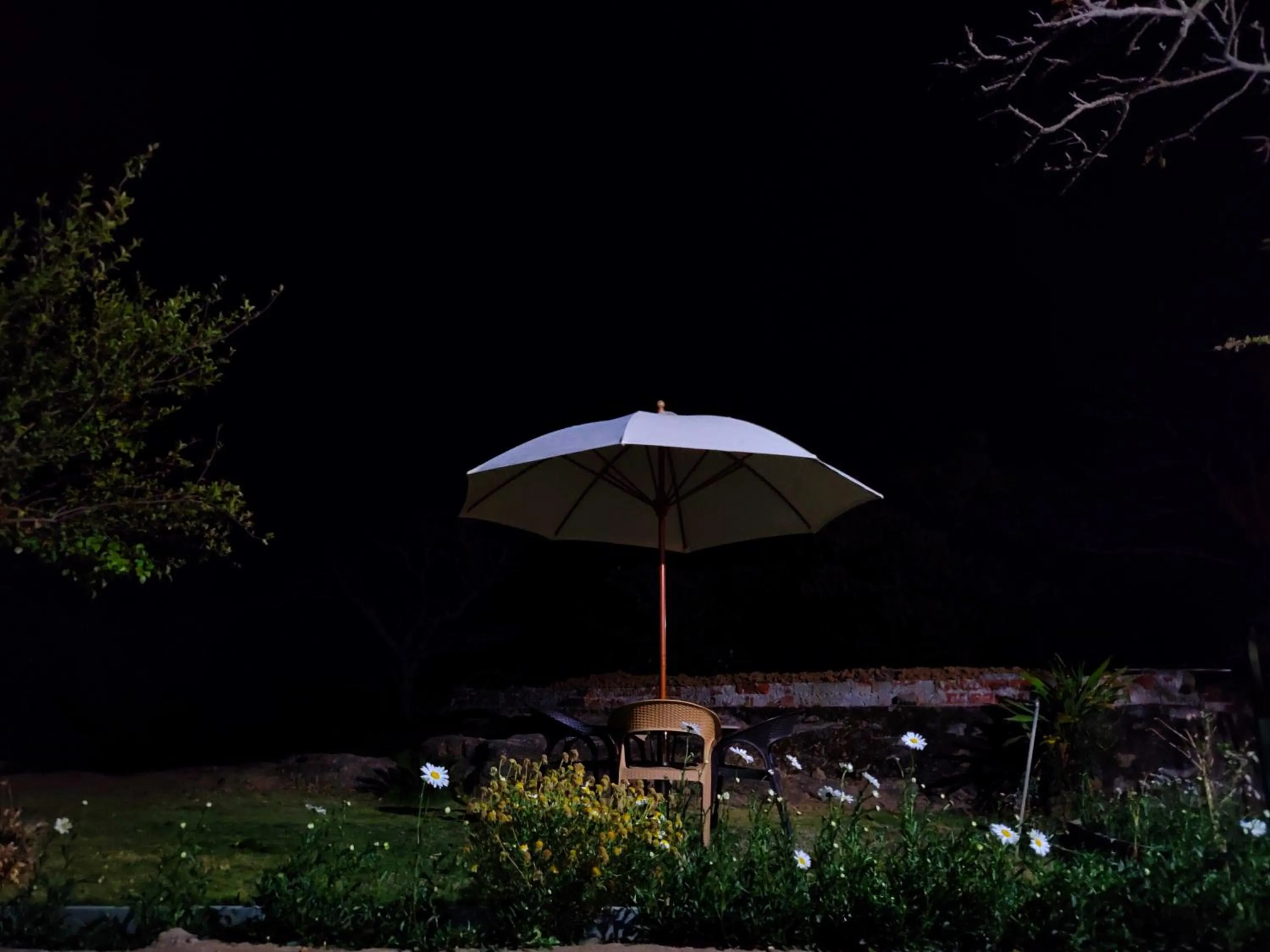 Garden in Forest Eco Lodge