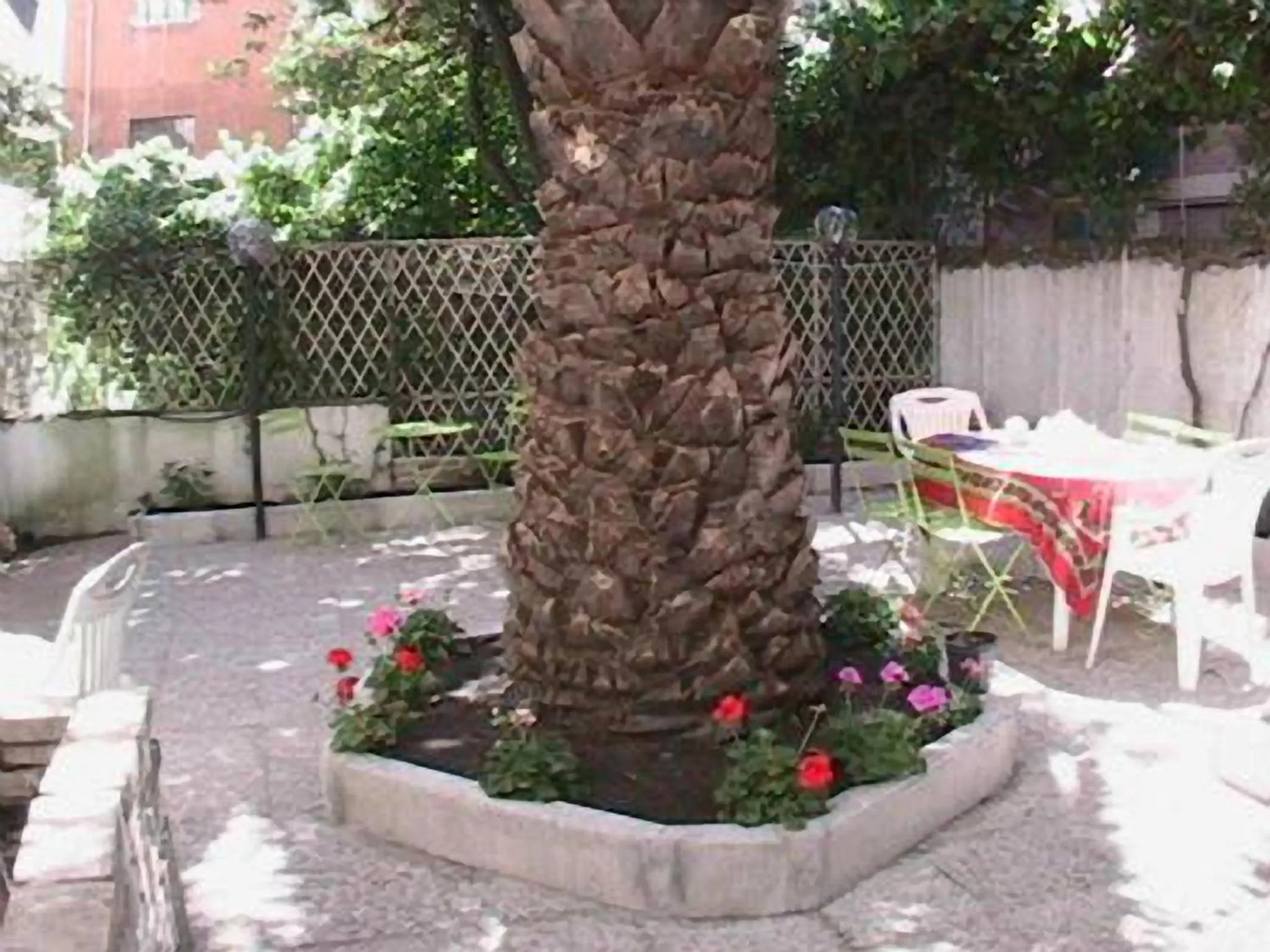Patio in Casa Totti