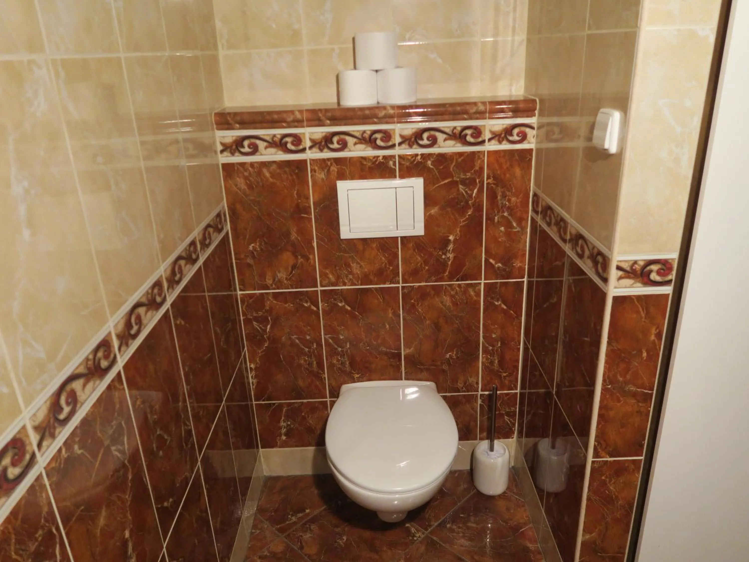 Toilet in Apartments near Lesser Town