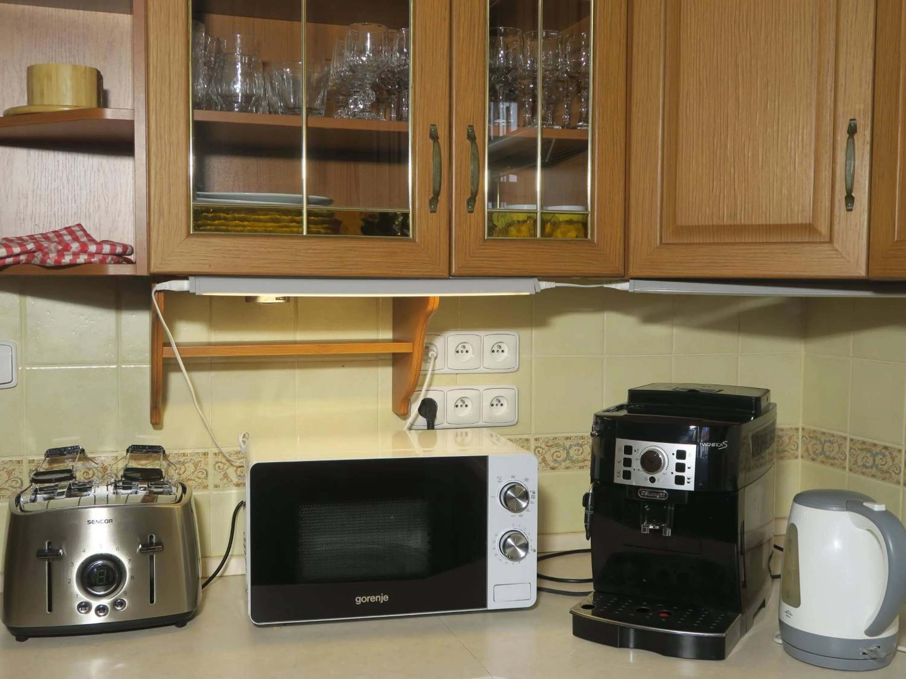 Kitchen or kitchenette in Apartments near Lesser Town