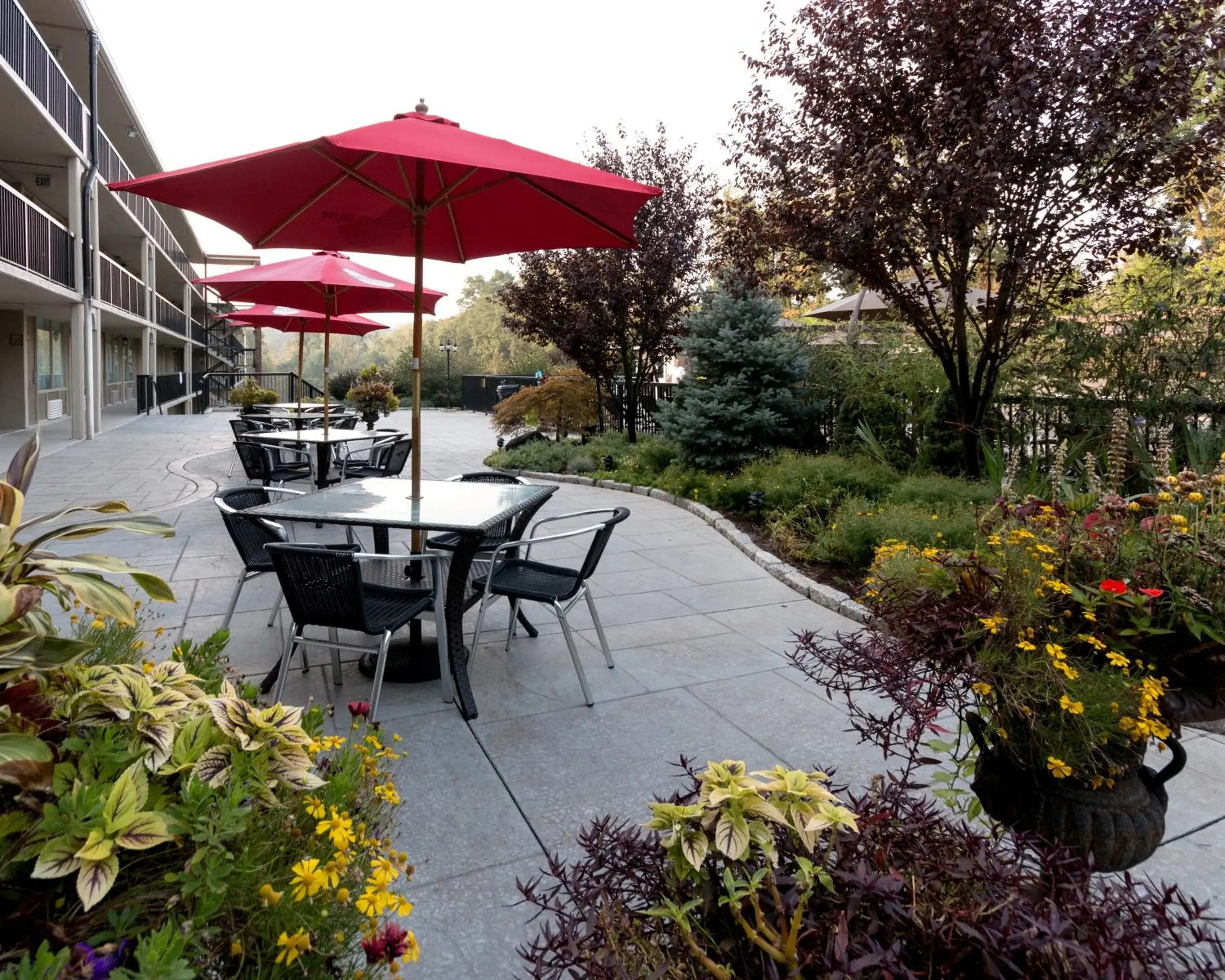 Garden view in New Hope Inn & Suites Garden view in New Hope Inn & Suites