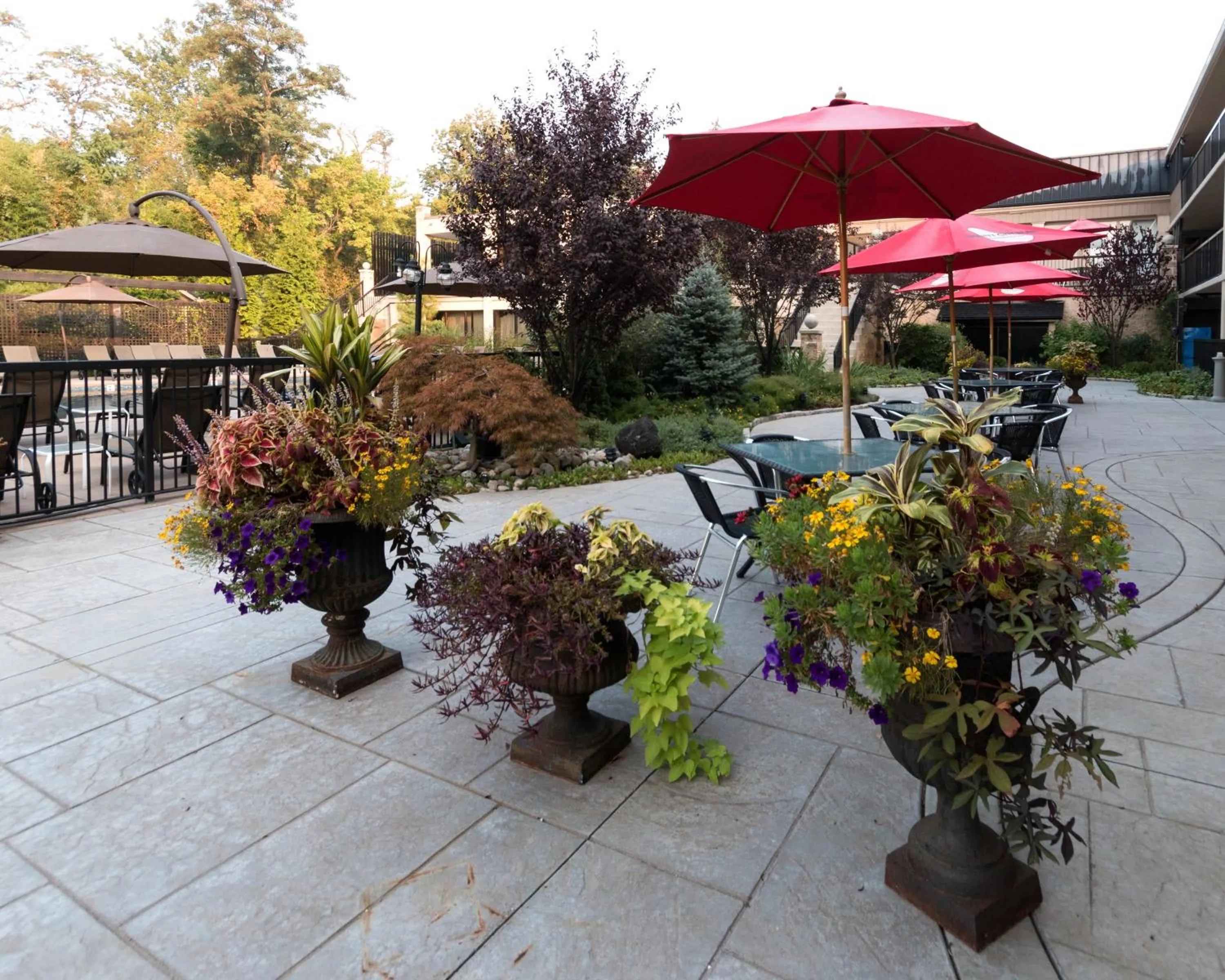 Balcony/Terrace in New Hope Inn & Suites