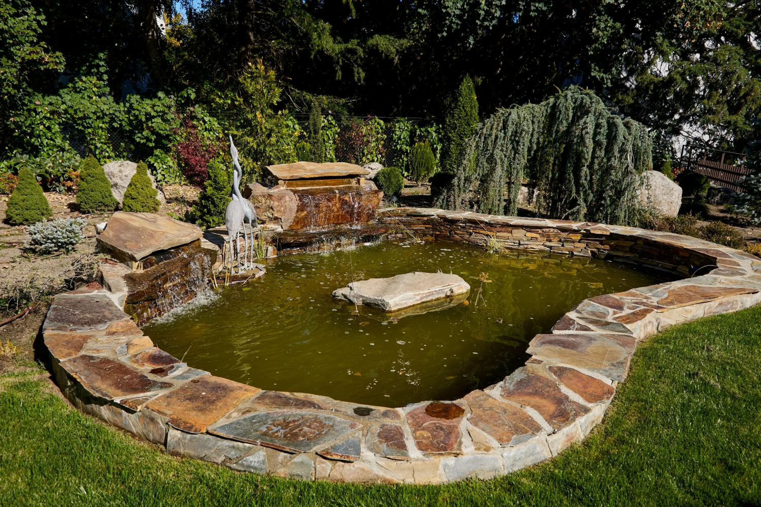 Garden in Los Rosales Hotel