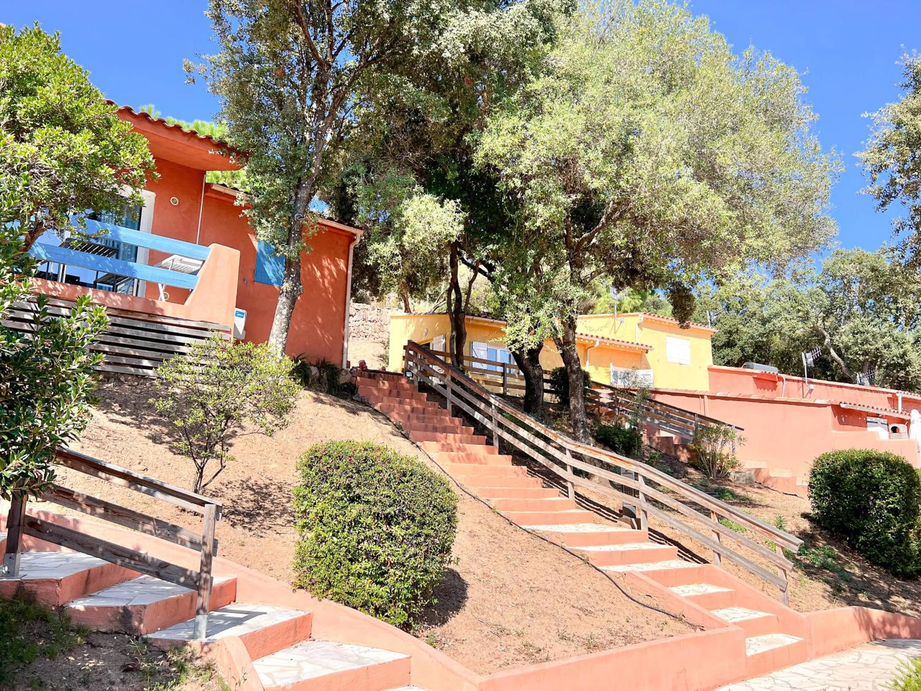 Garden in Royal Palm