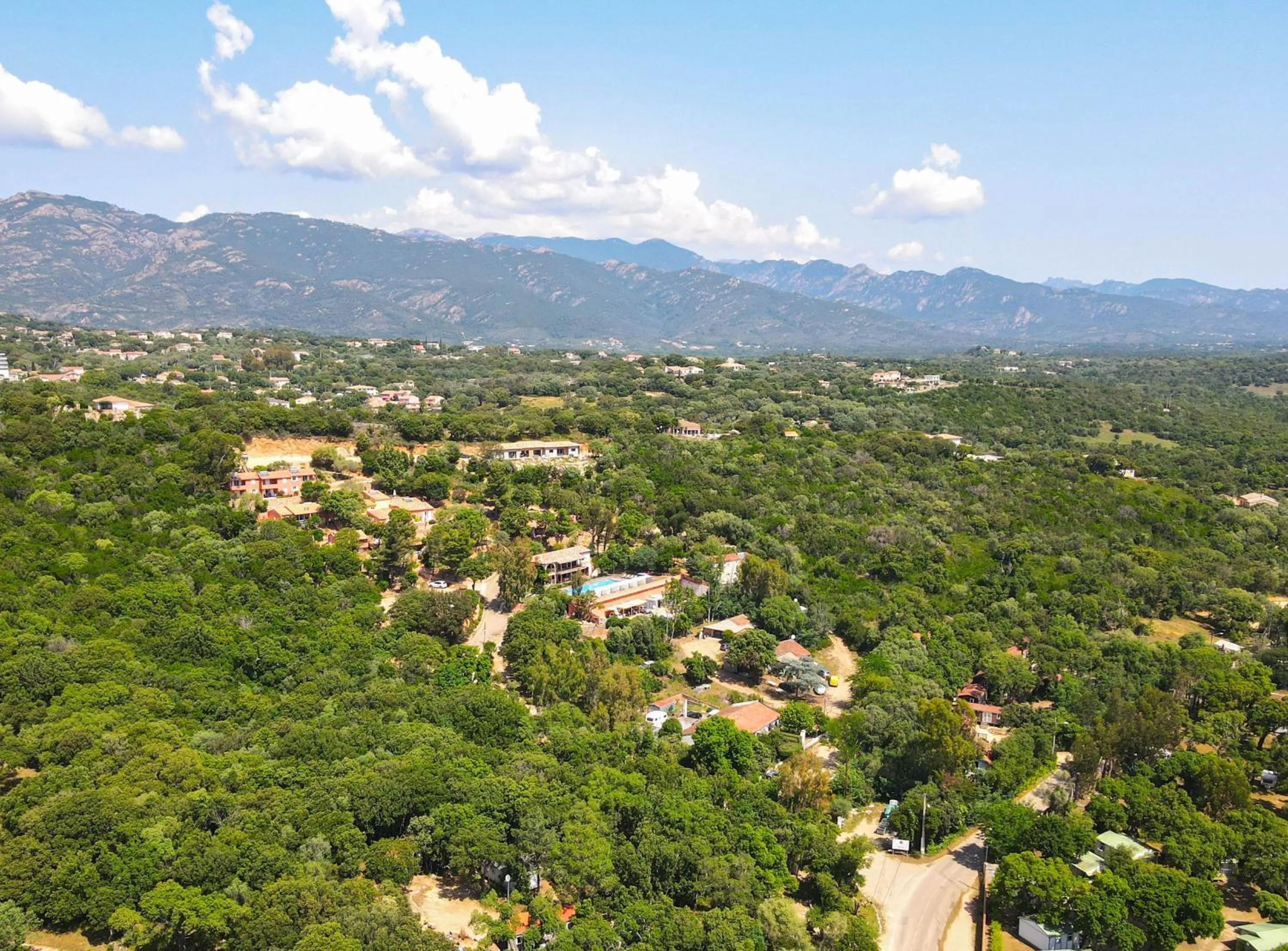Bird's eye view in Royal Palm