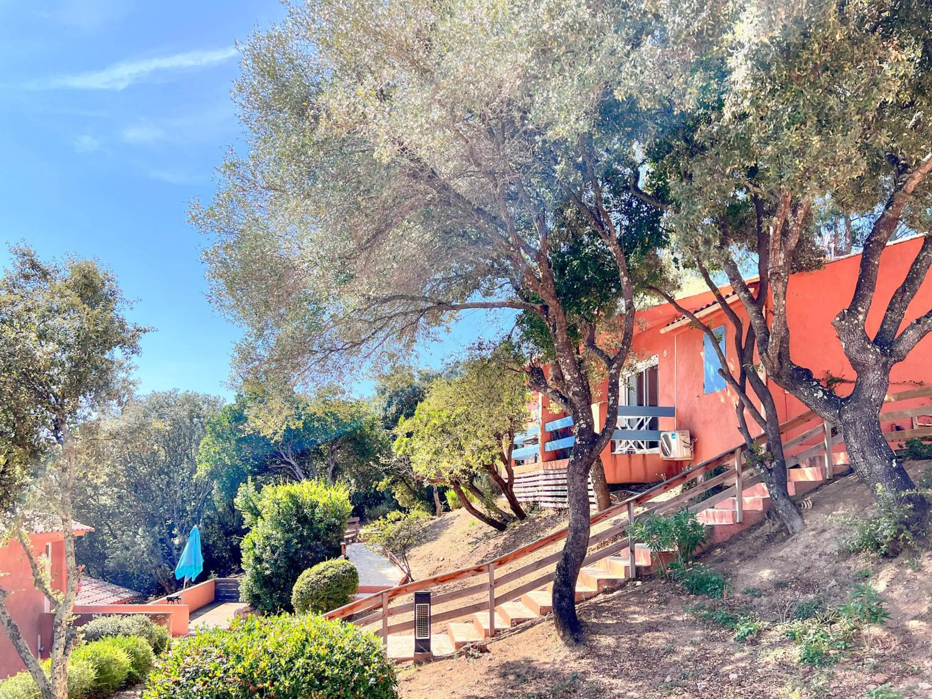 Garden in Royal Palm