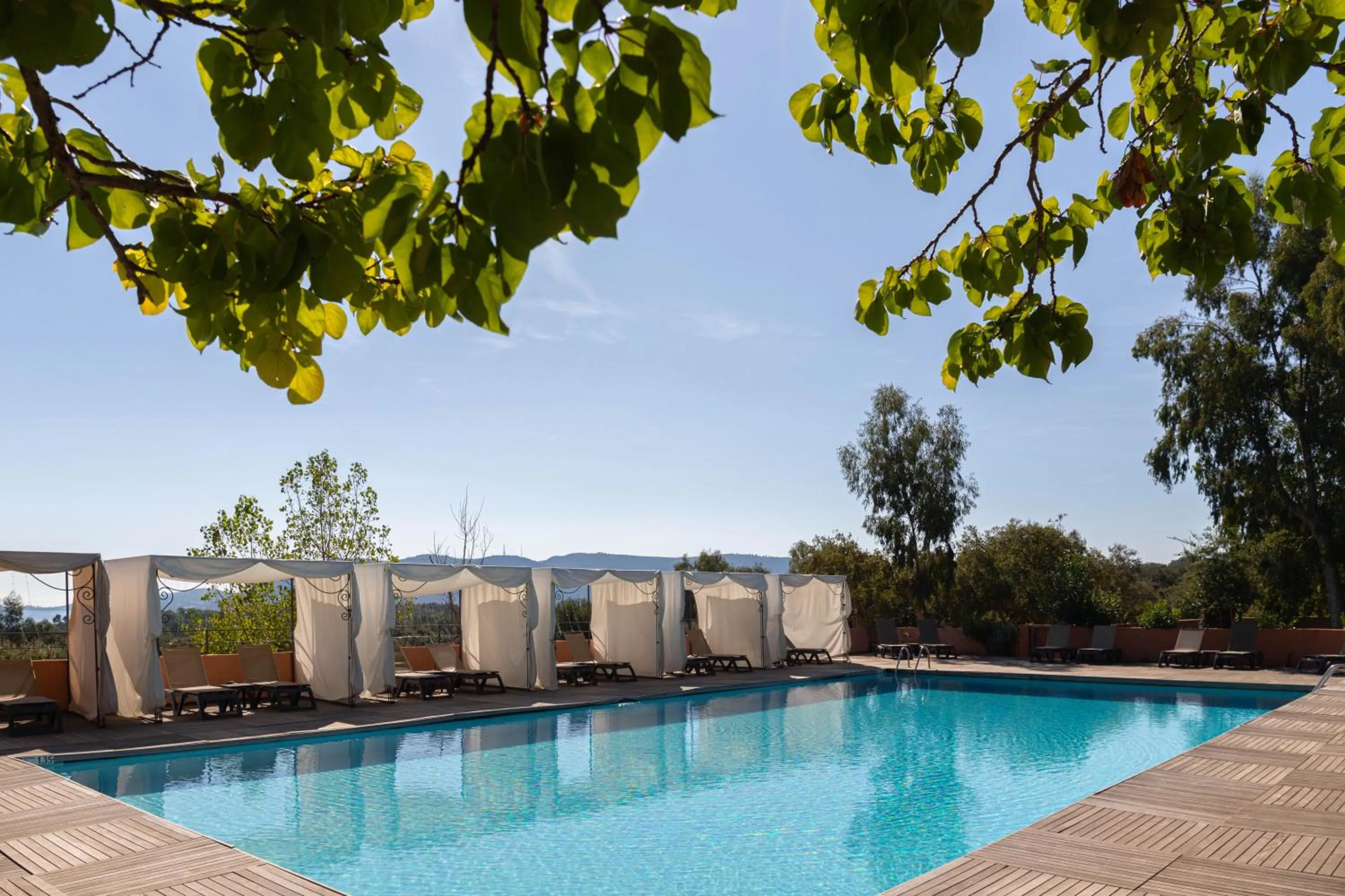 Swimming pool in Royal Palm