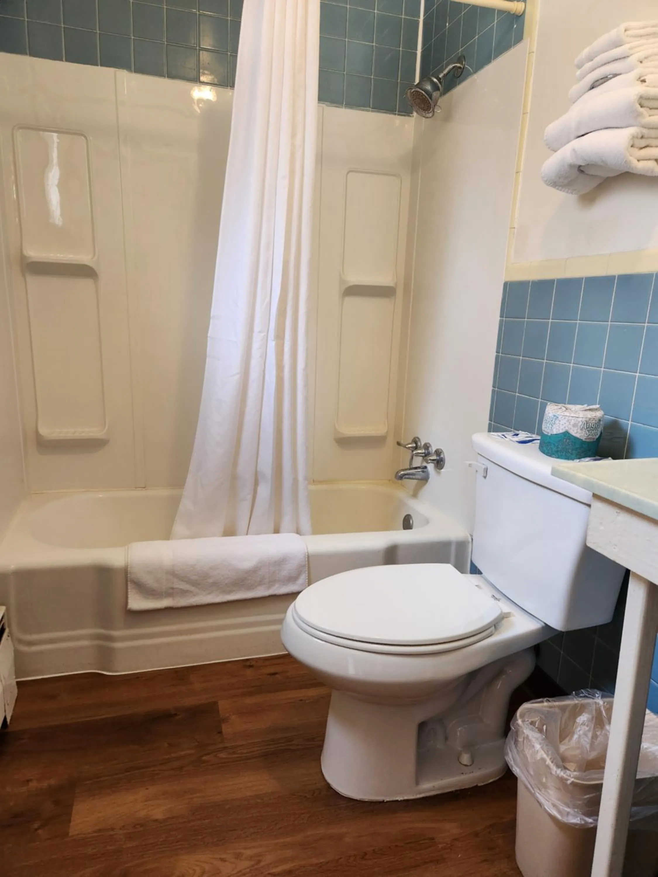 Bathroom in Cortland Motel