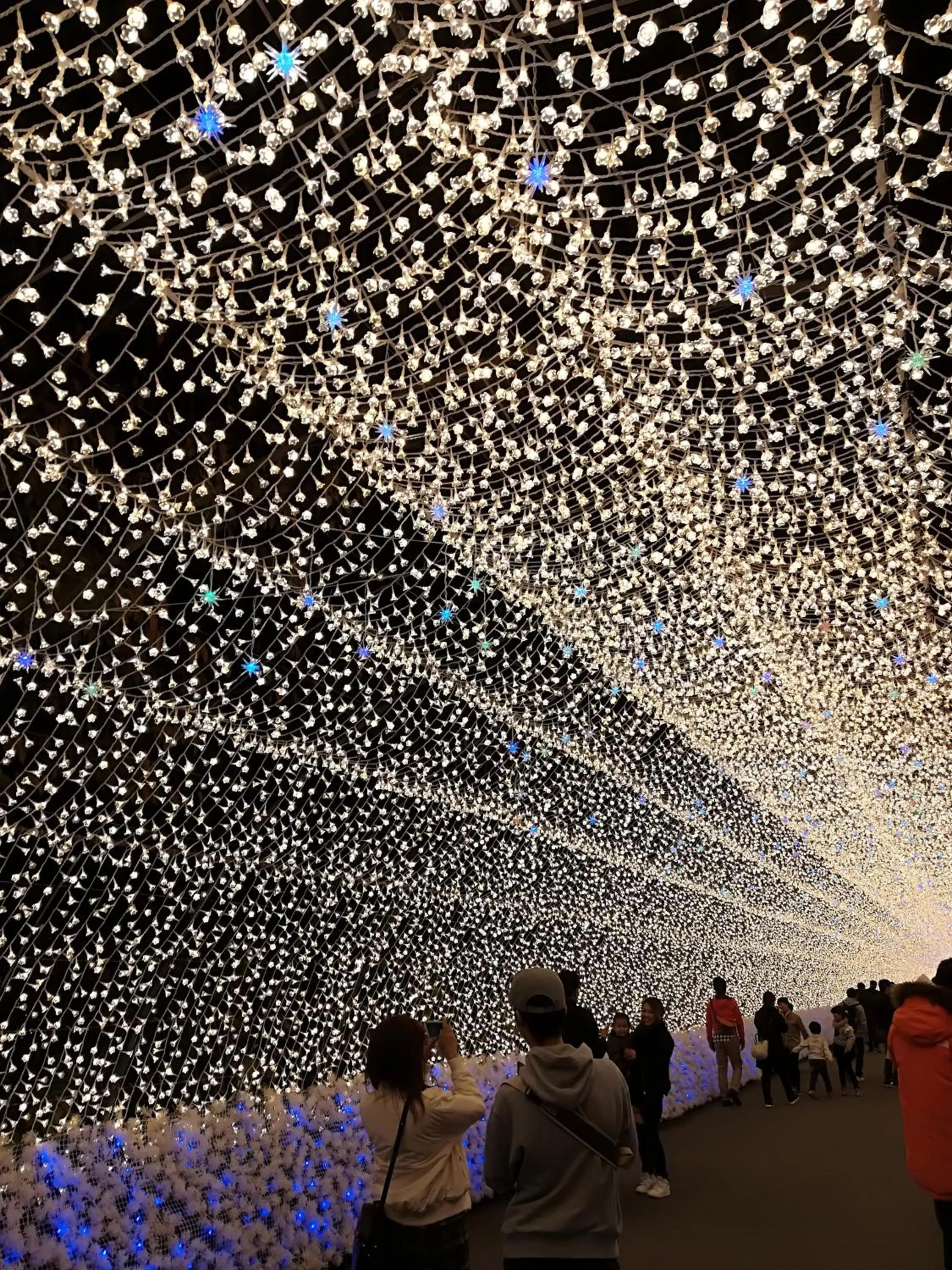 Nearby landmark in Irodori Koyo