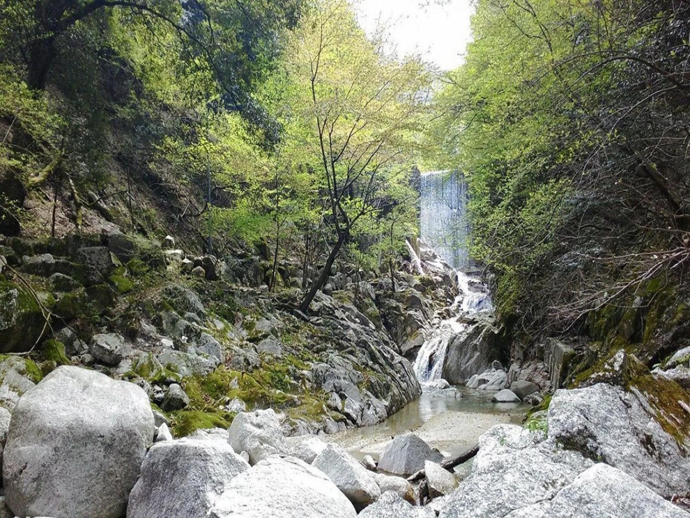 Neighbourhood in Irodori Koyo