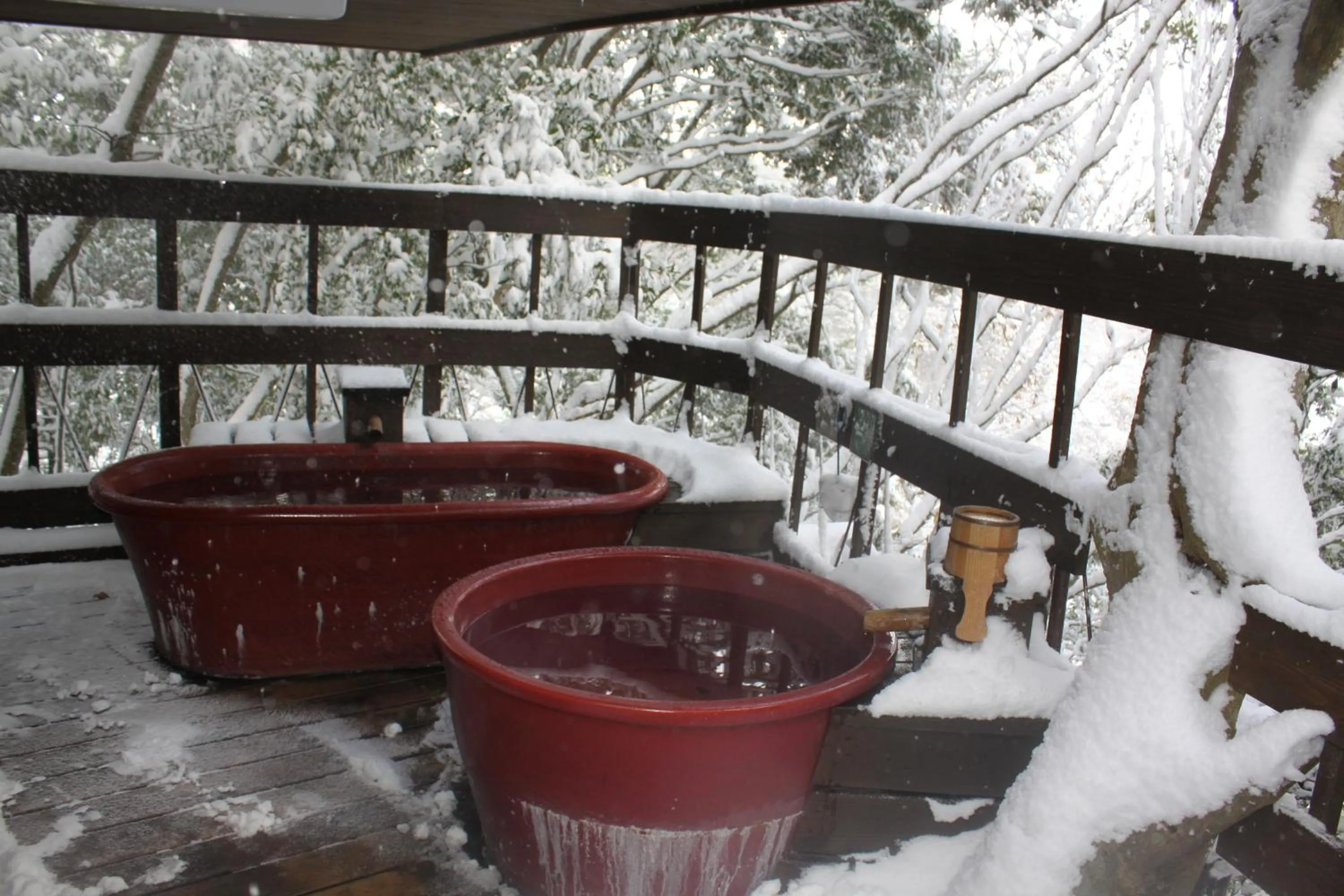 Hot Spring Bath in Irodori Koyo