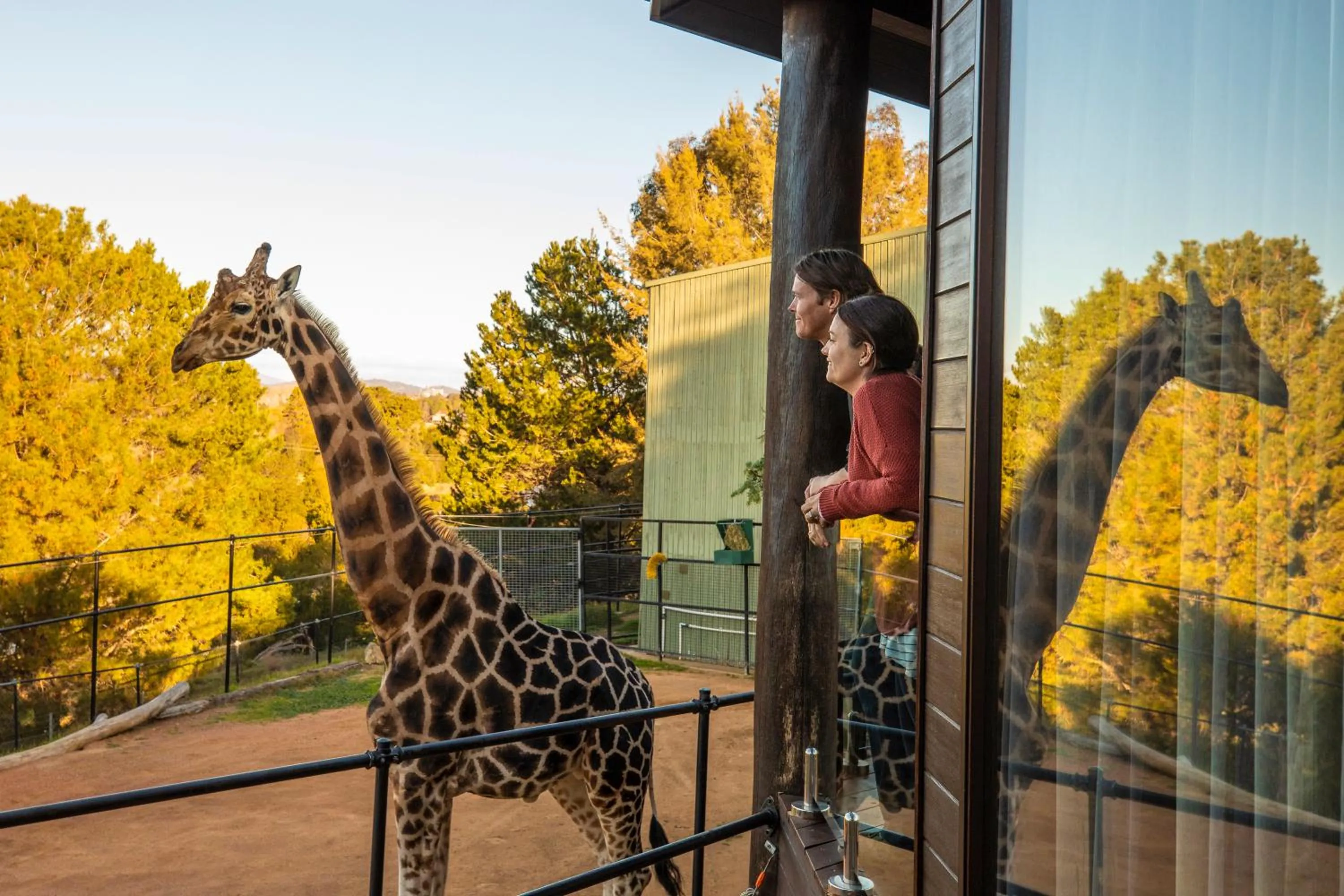 Day in Jamala Wildlife Lodge