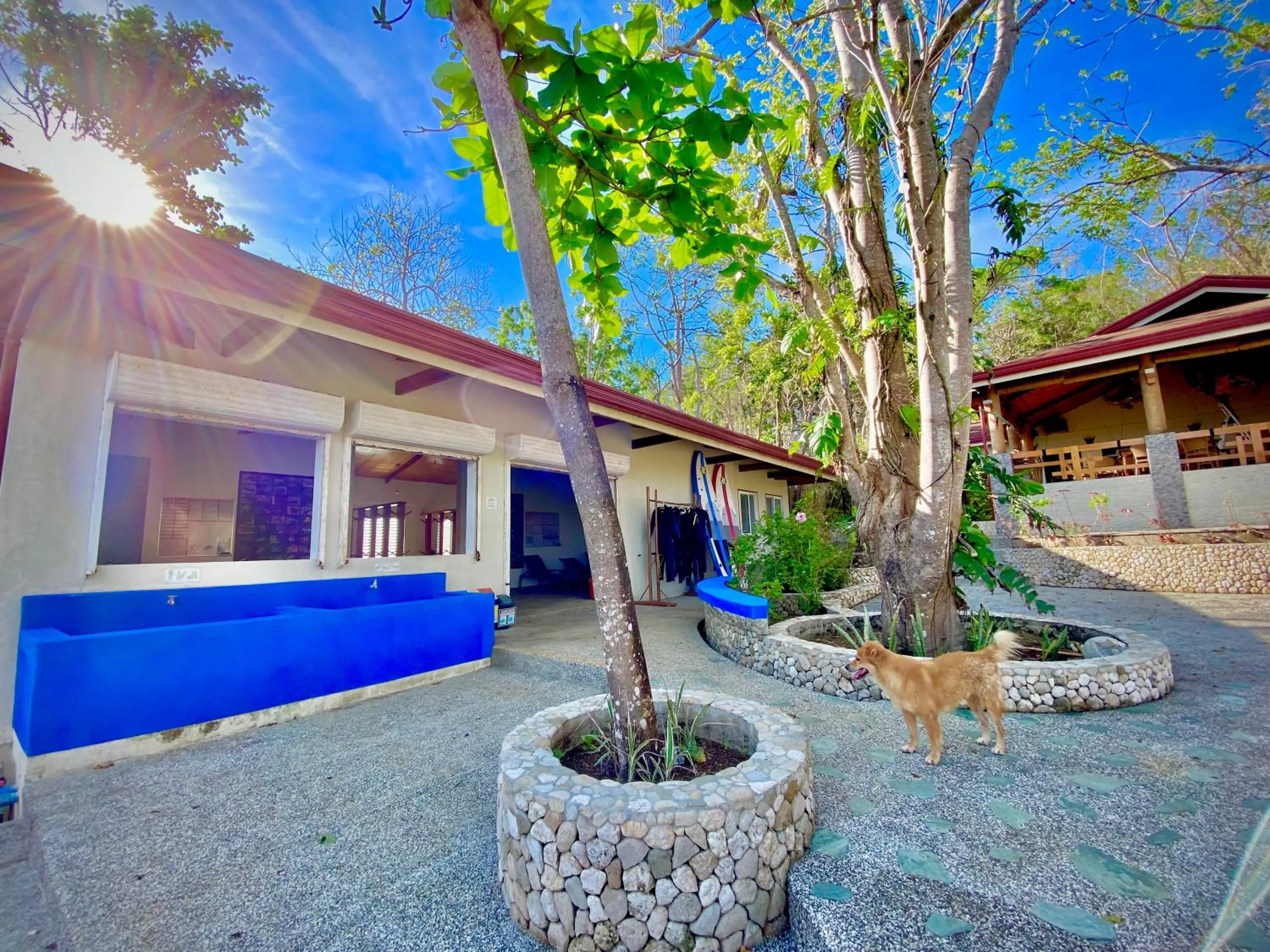 Diving in Magic Oceans Dive Resort